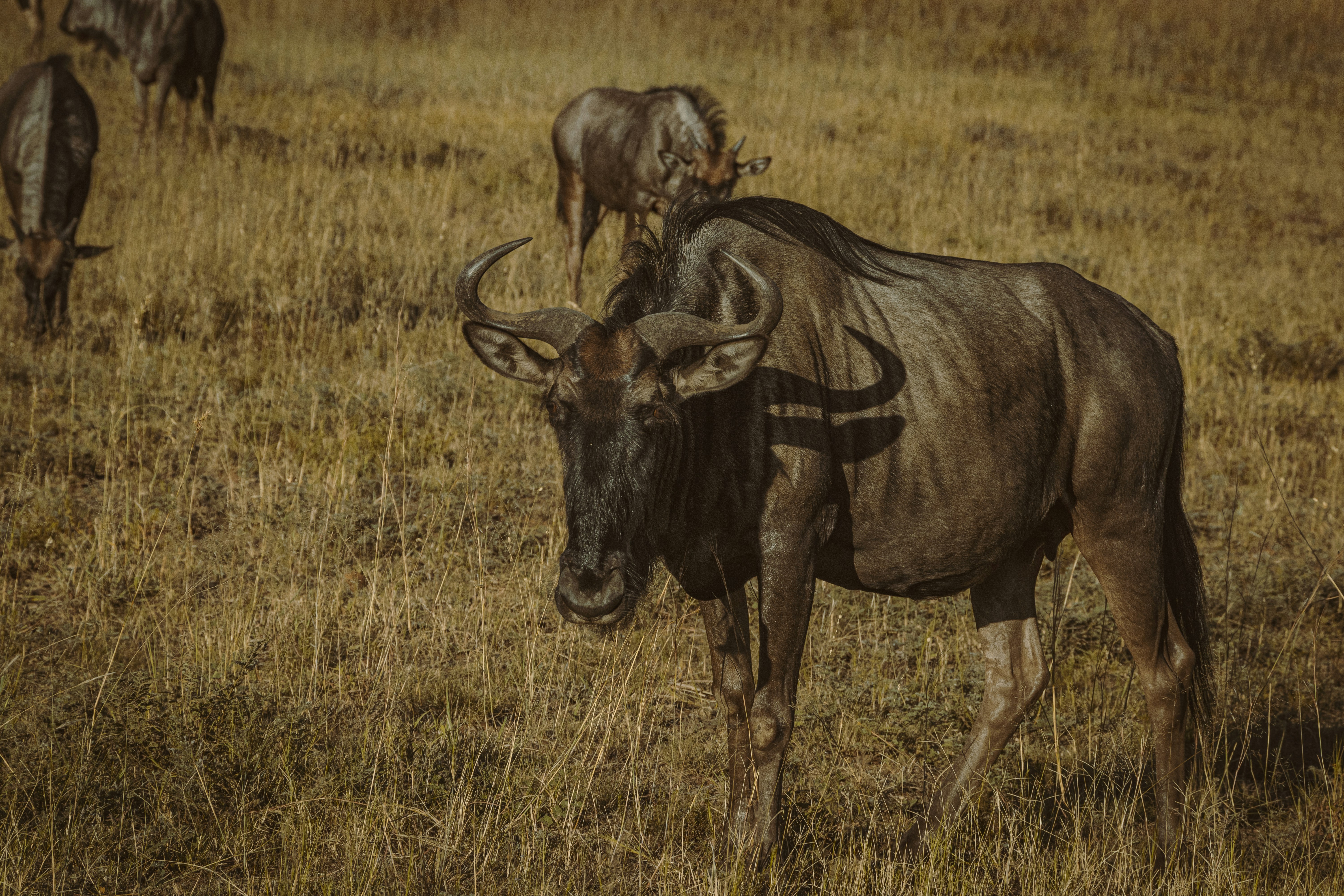 Photo by s_arshia_nzm