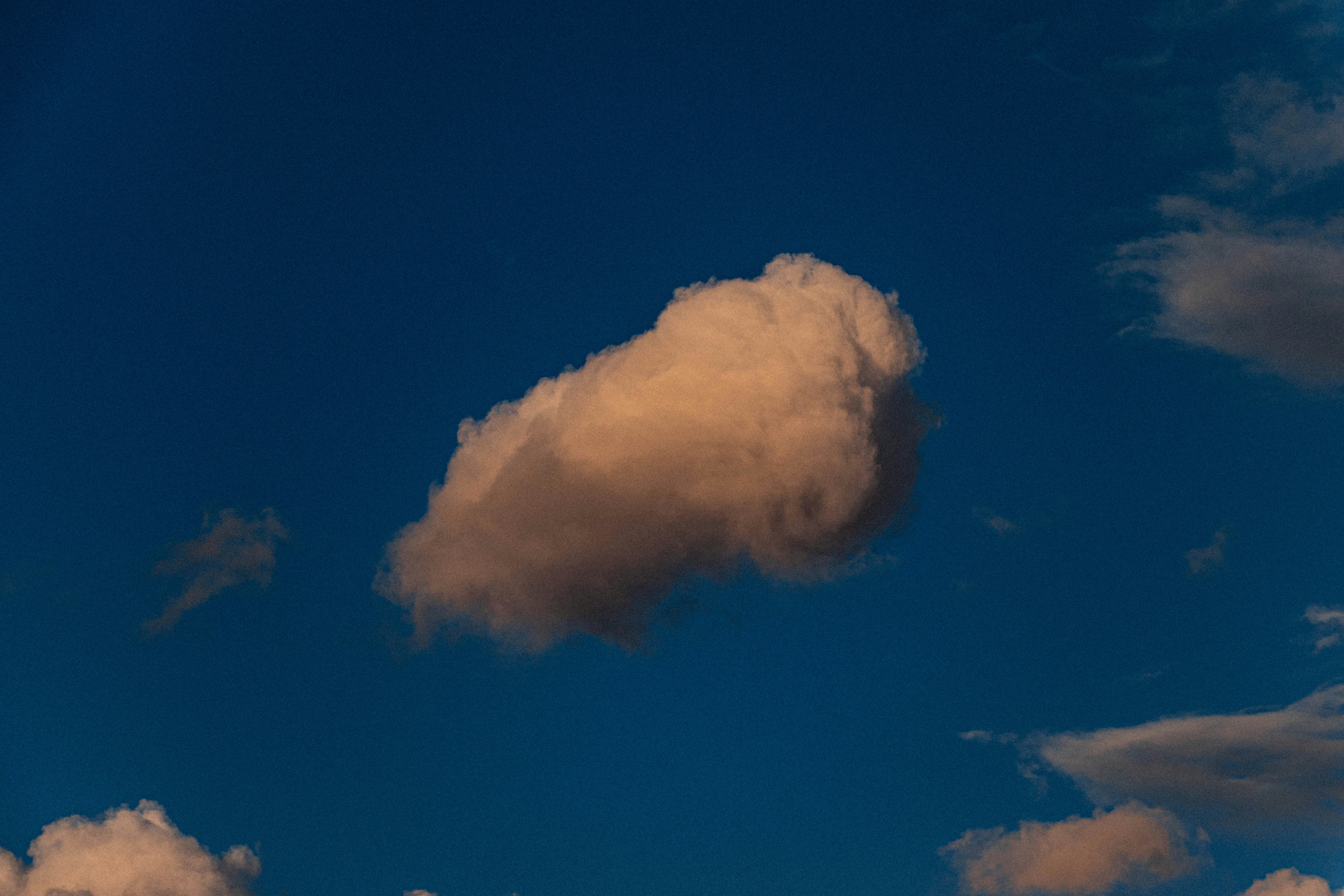 Photo by s_arshia_nzm