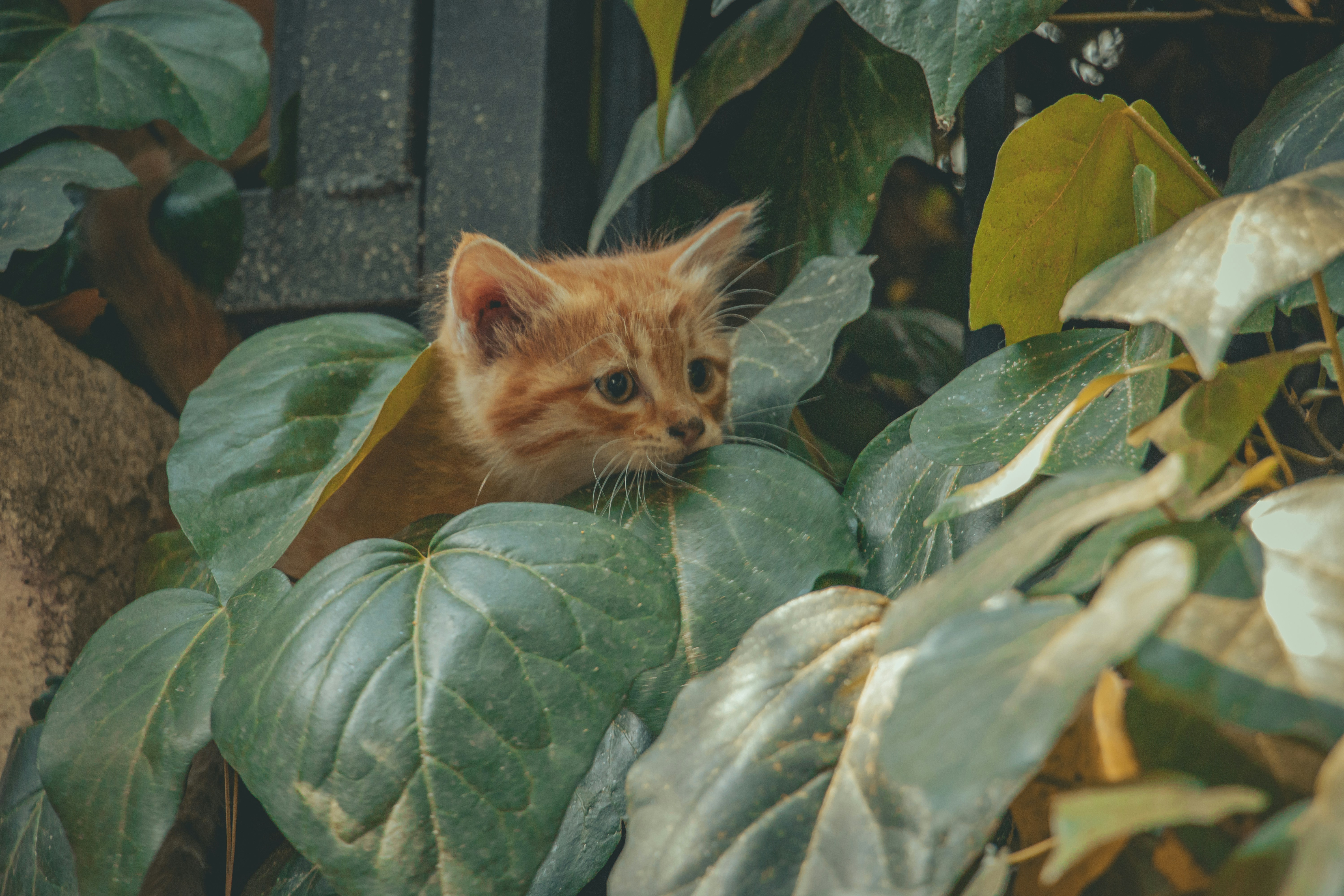 Photo by s_arshia_nzm