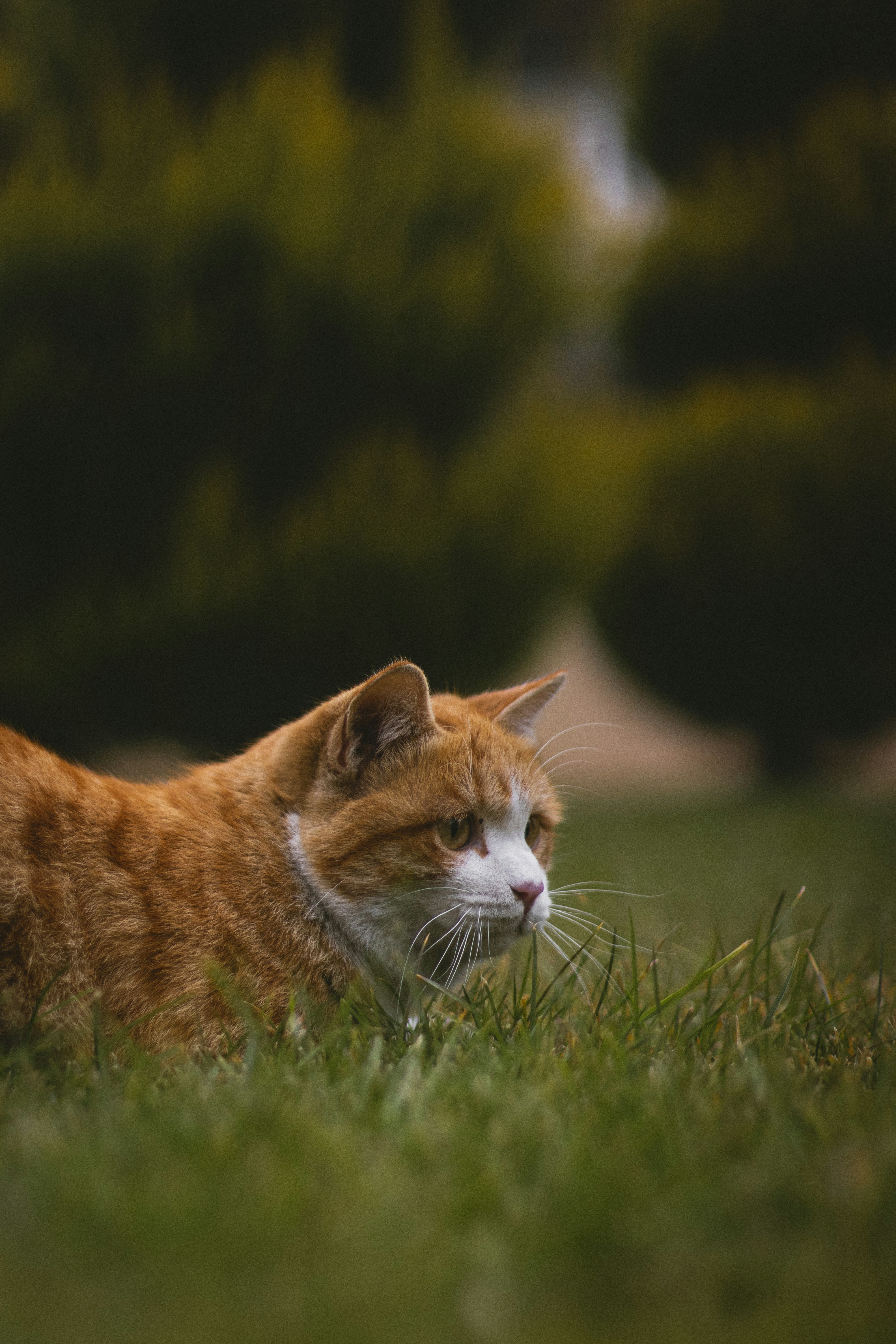 Photo by s_arshia_nzm