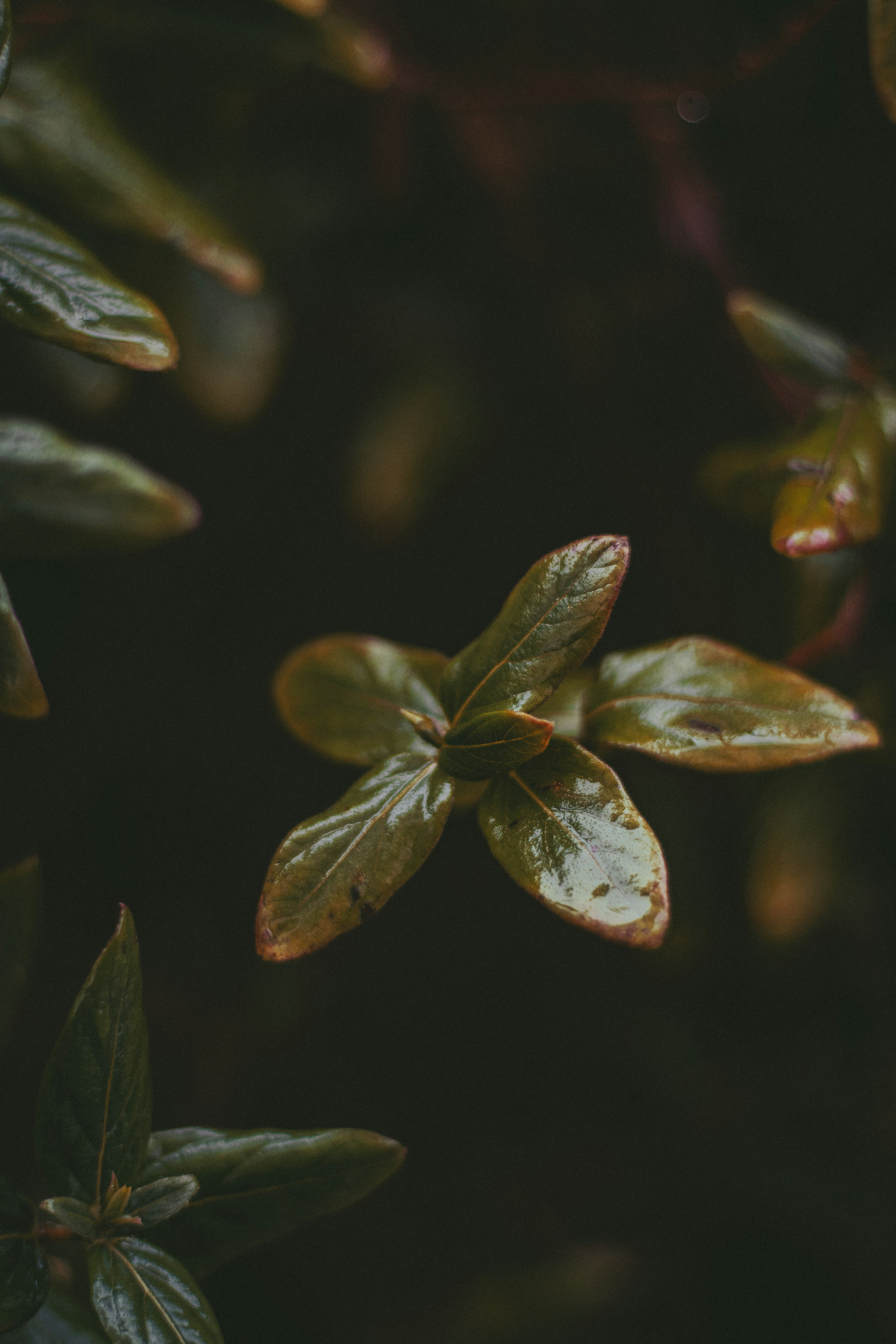 Photo by s_arshia_nzm