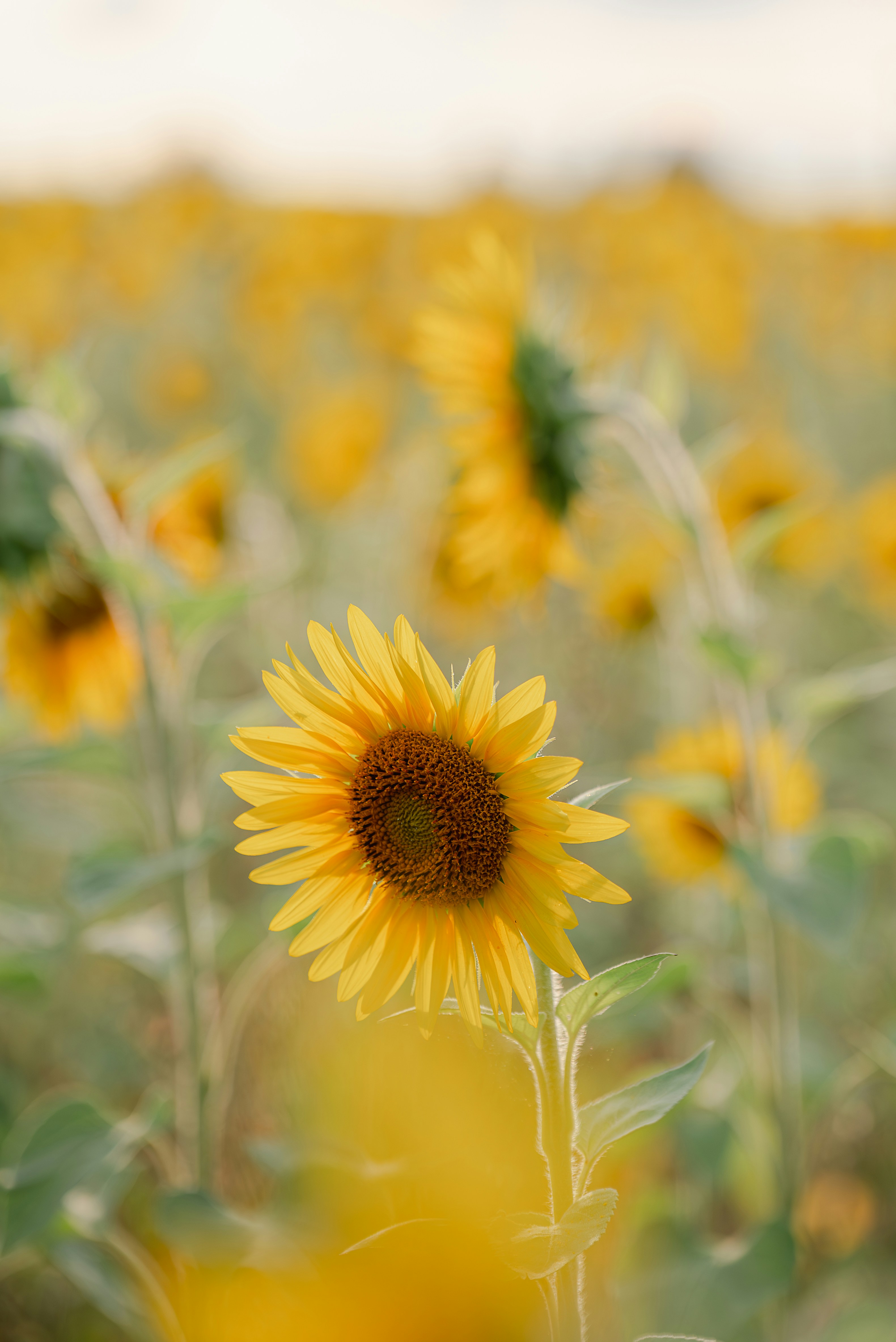 Photo by jetztabertempo