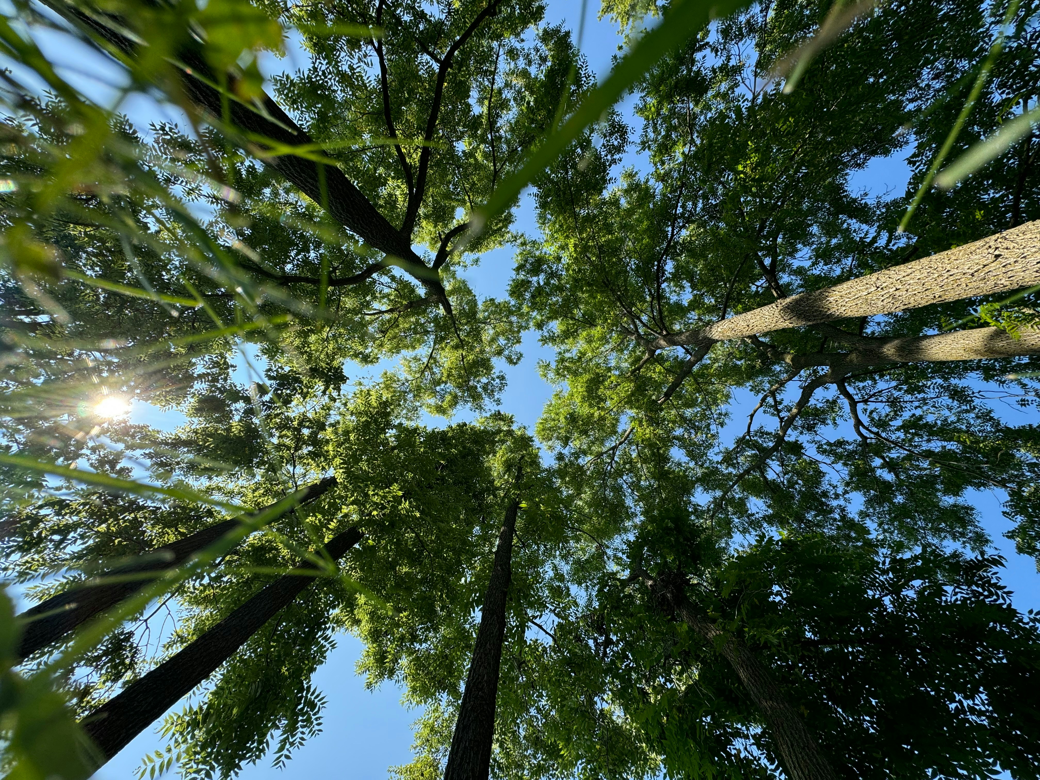 Photo by timecaptor25