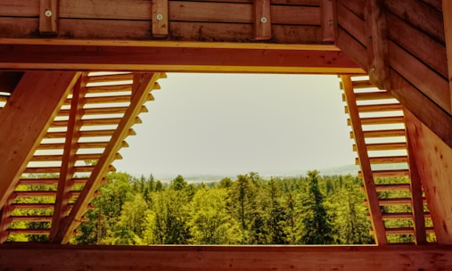 A view of a forest through a window