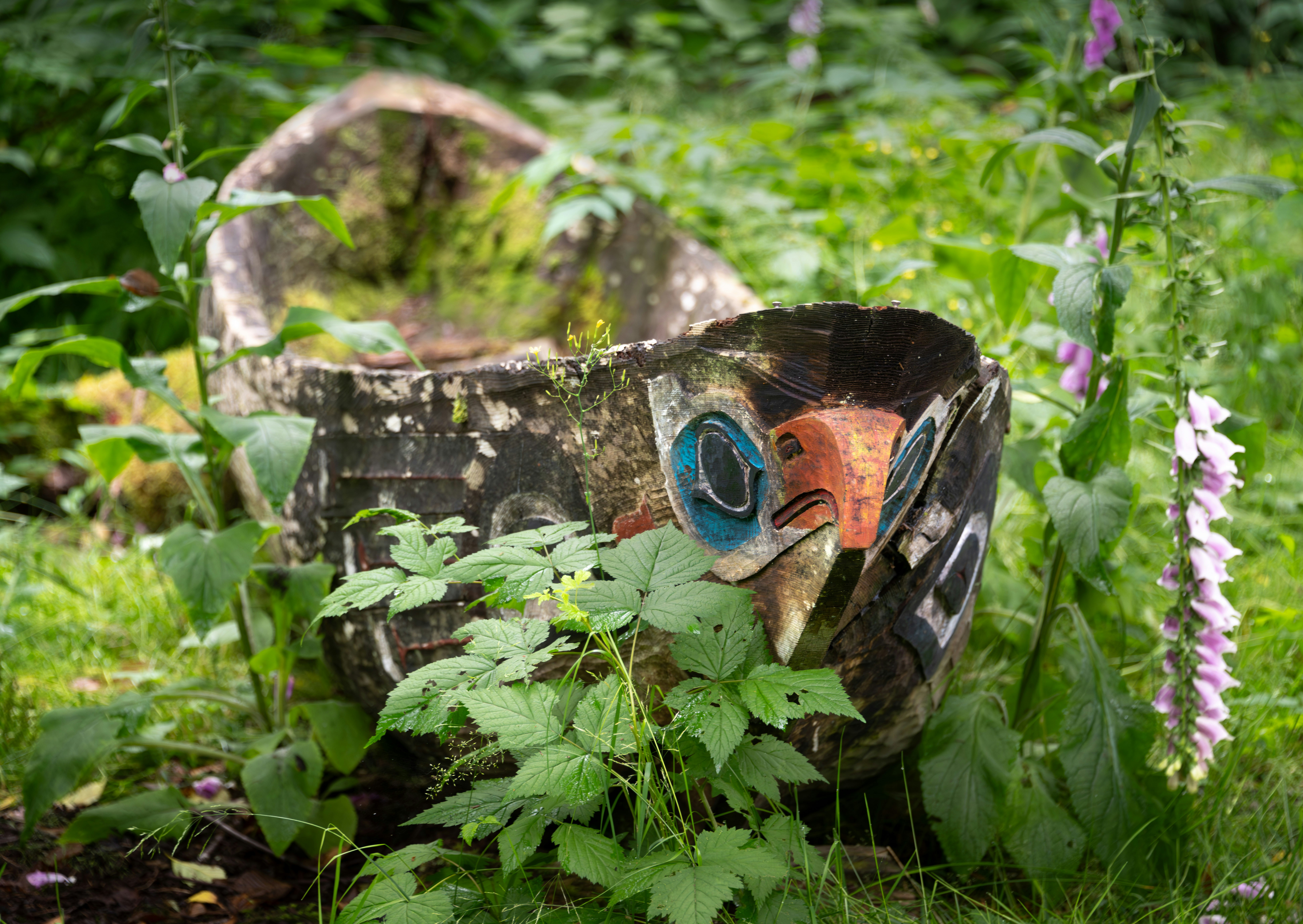 An old wooden box sitting in the middle of a field