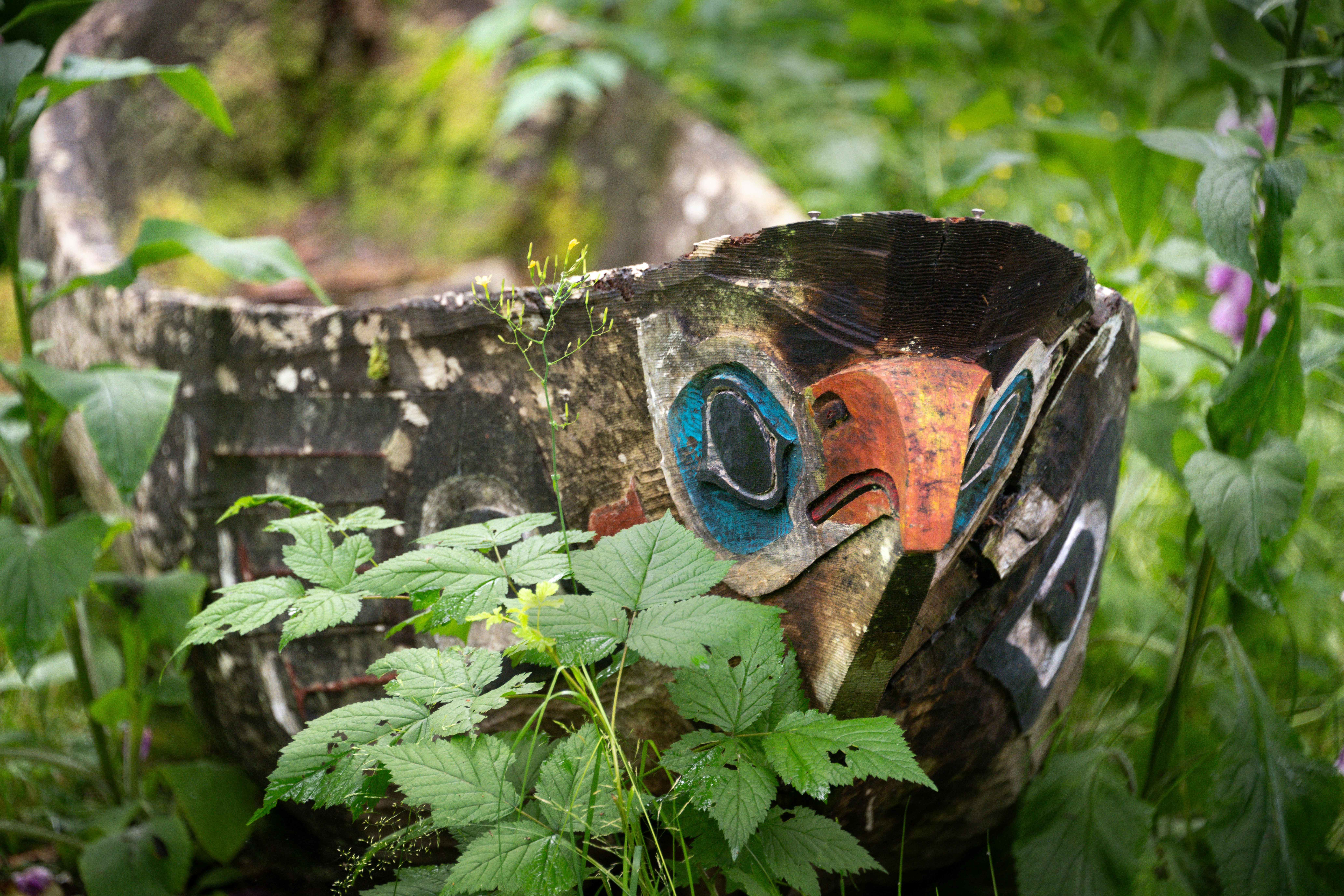 A bird painted on the side of a tree stump, Close up: Weathered dugout canoe lying amidst the greenery at Potlatch Totem Park in Ketchikan, Alaska