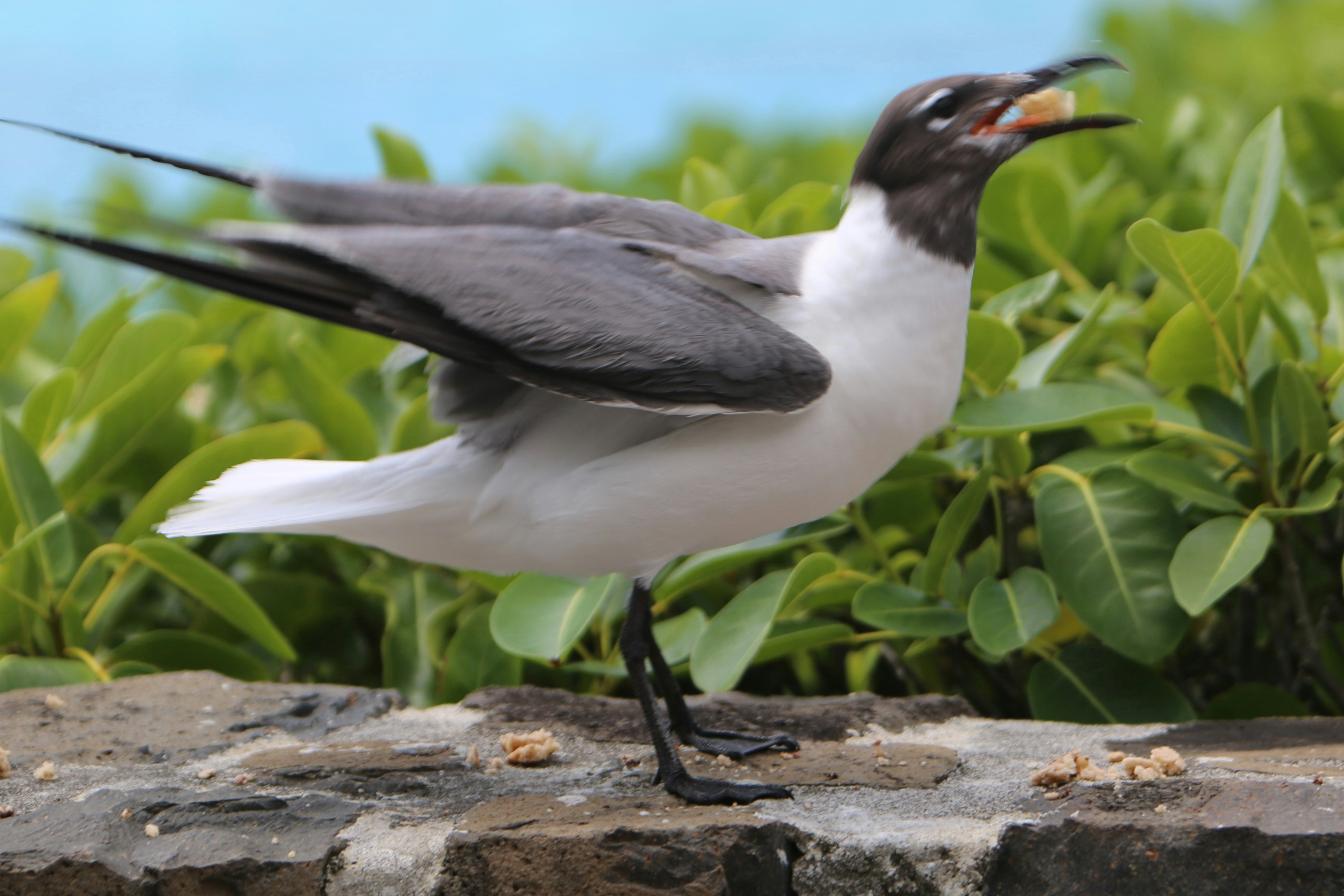 Photo by colin_p_hills_photography