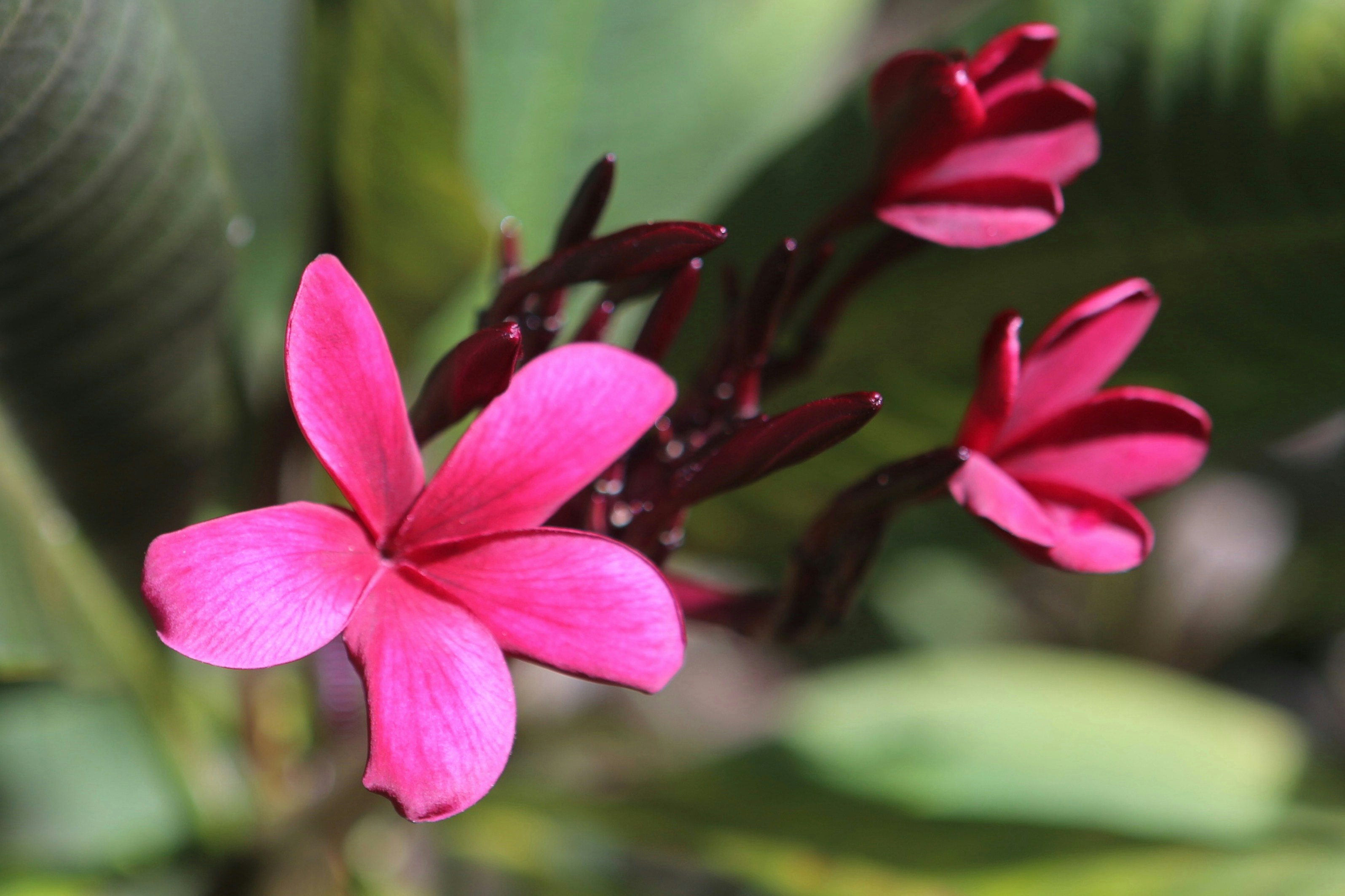 Photo by colin_p_hills_photography