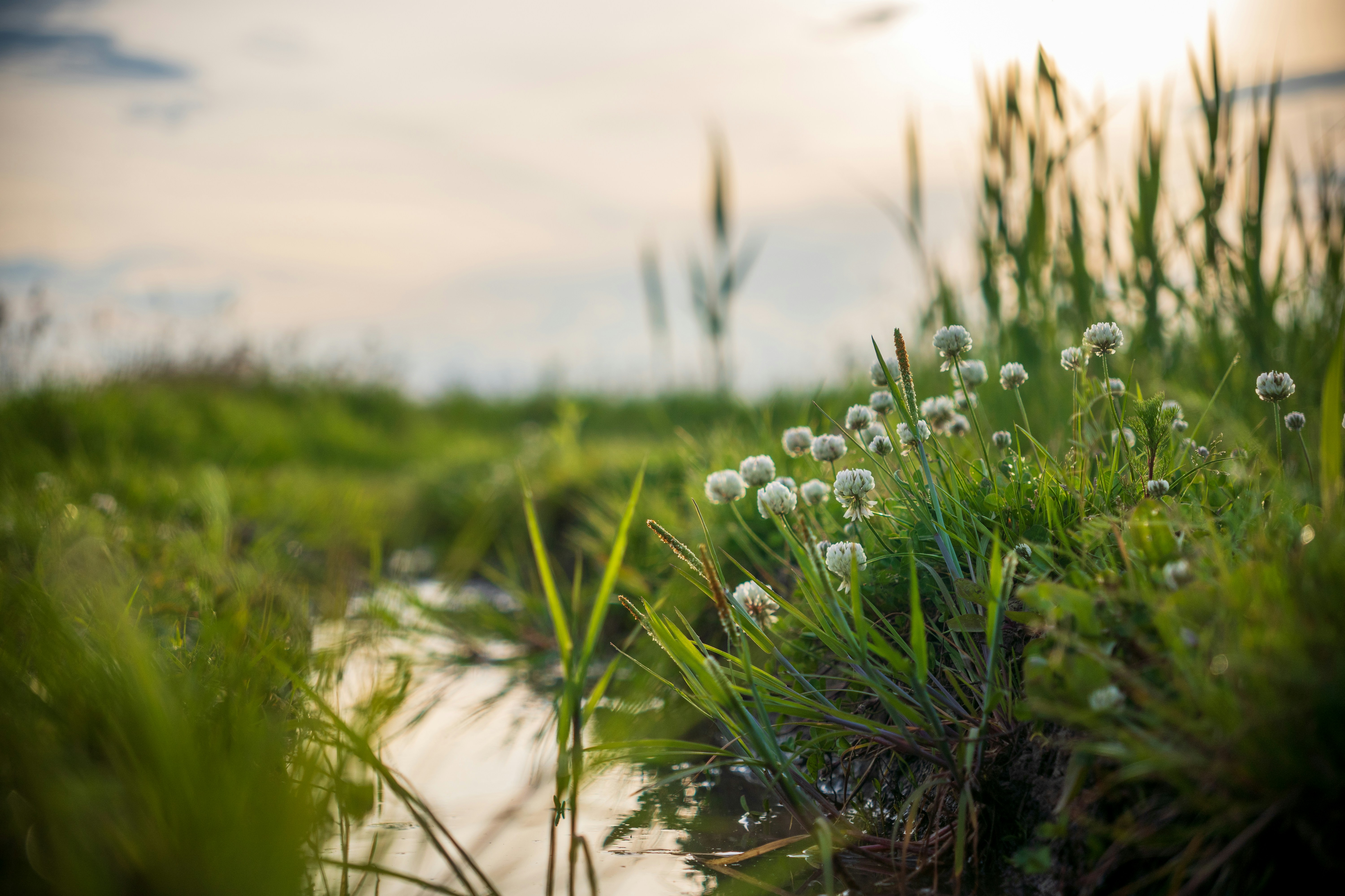 Photo by misha_blivi