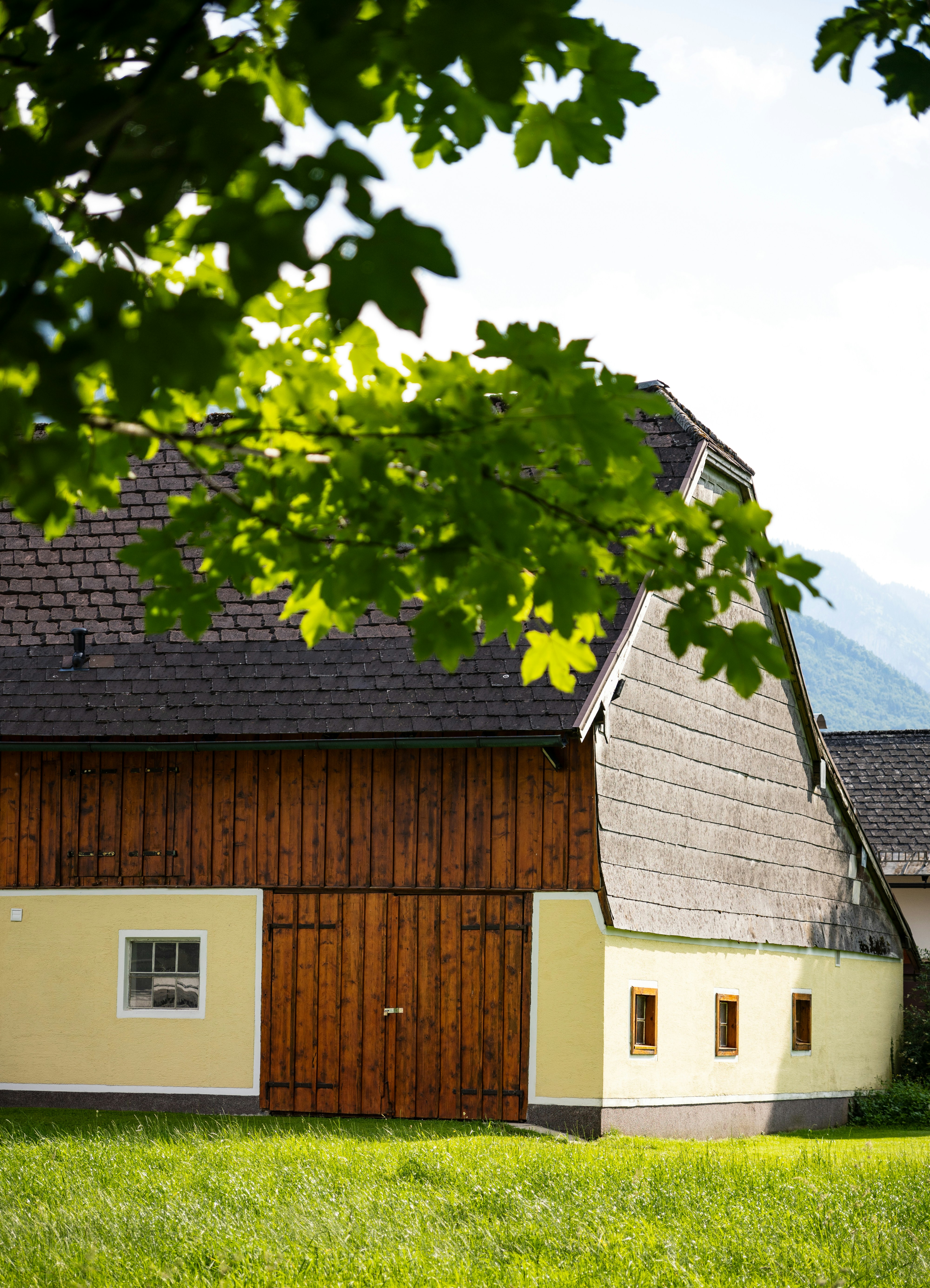 Photo by misha_blivi