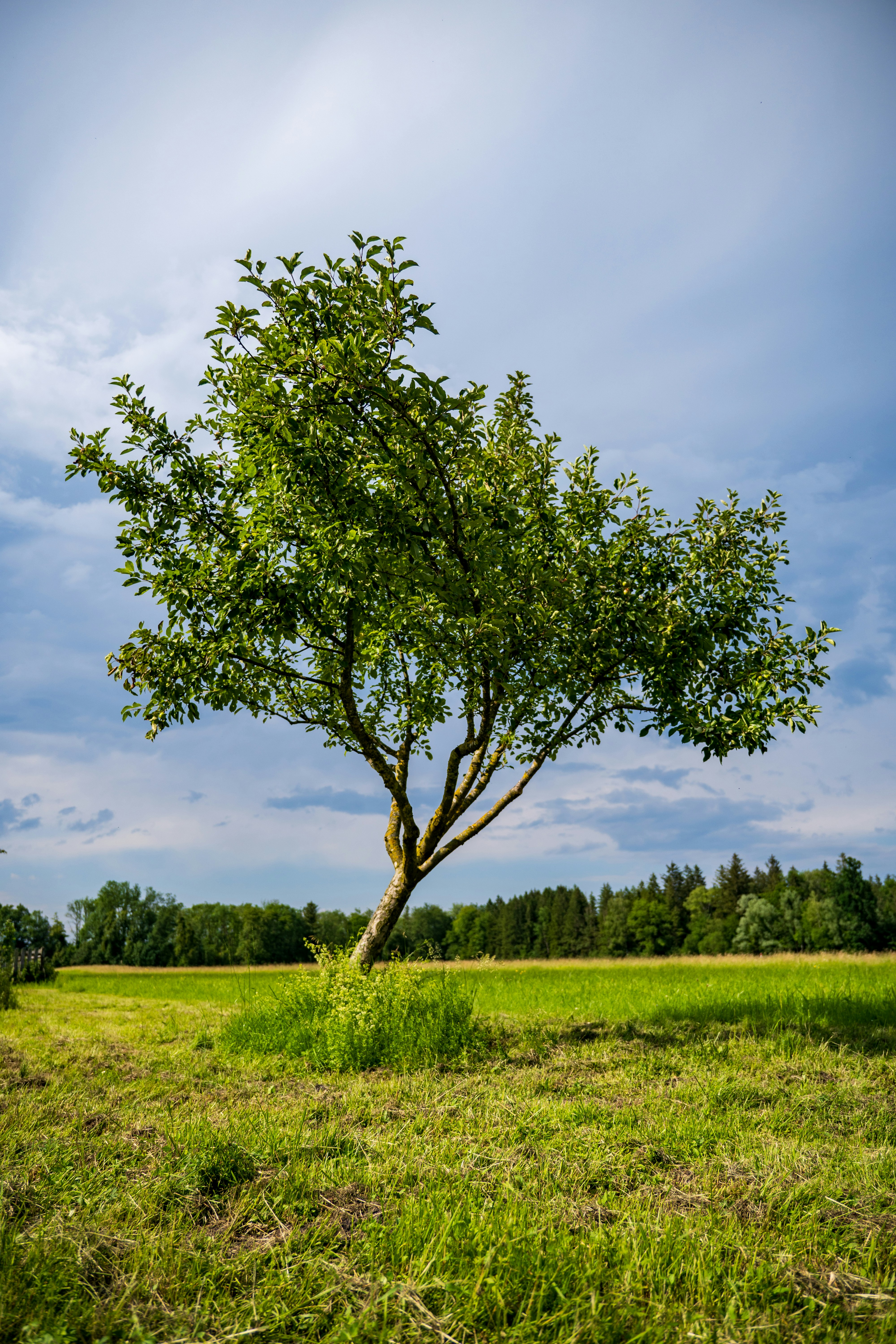 Photo by misha_blivi