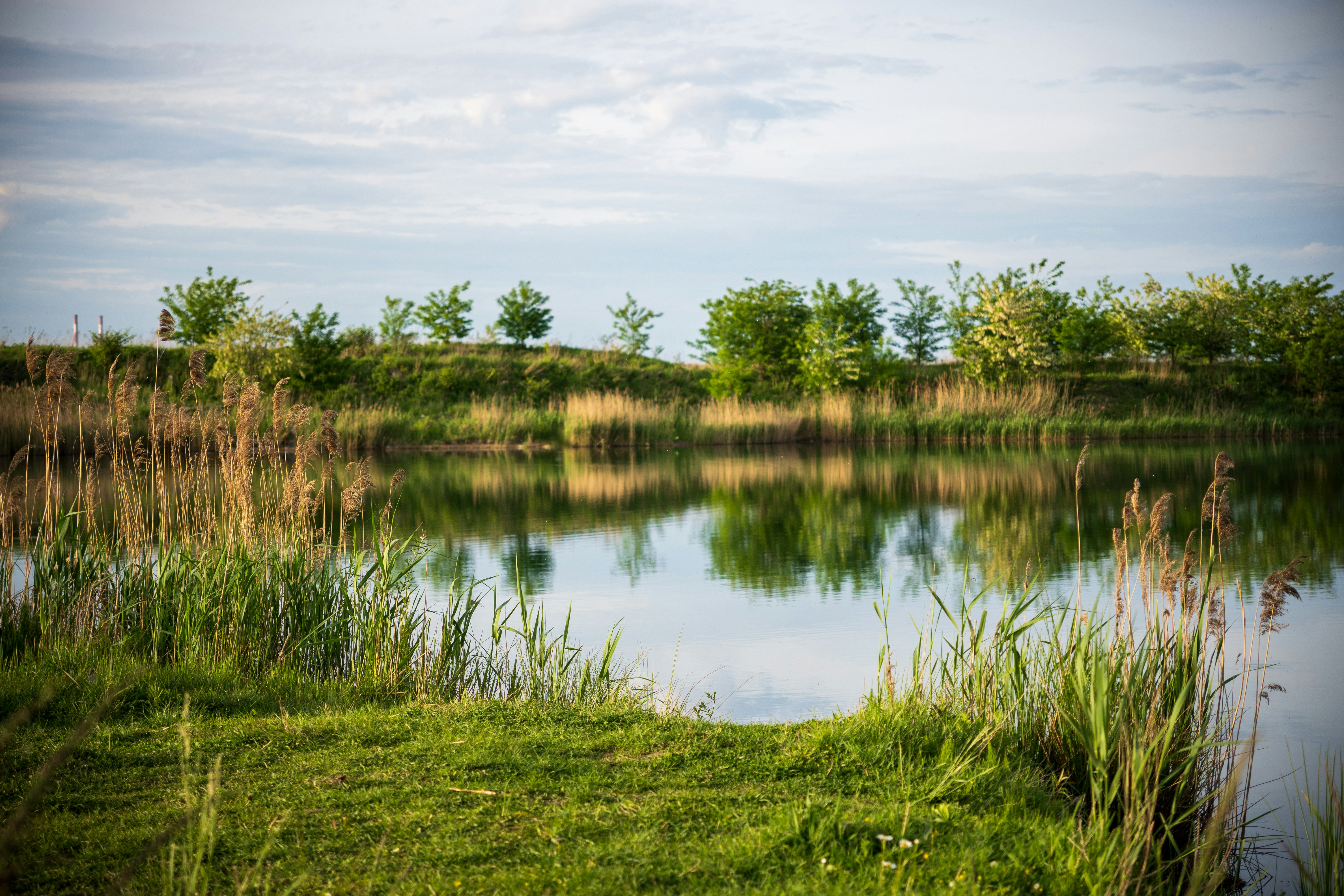 Photo by misha_blivi