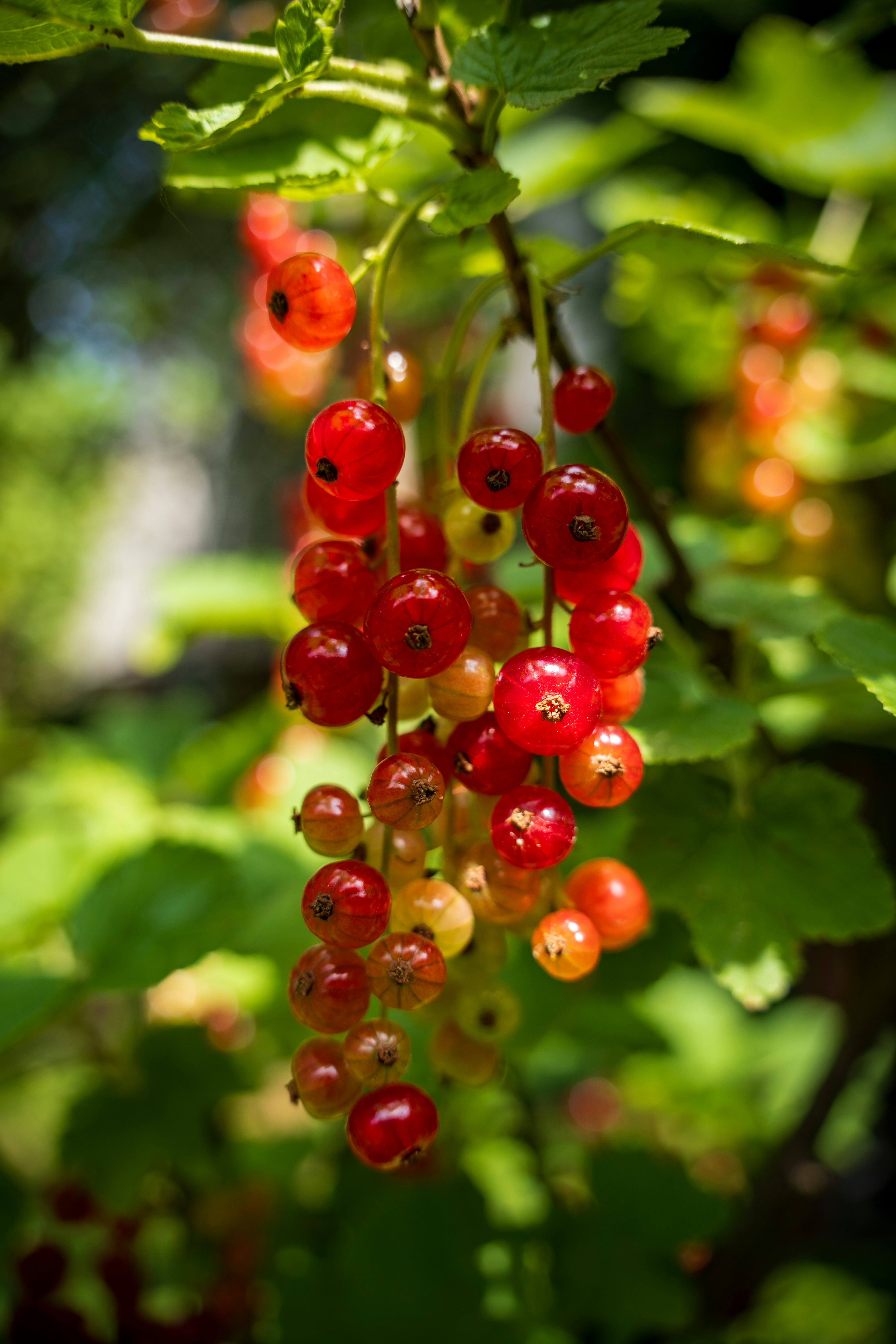 Photo by misha_blivi