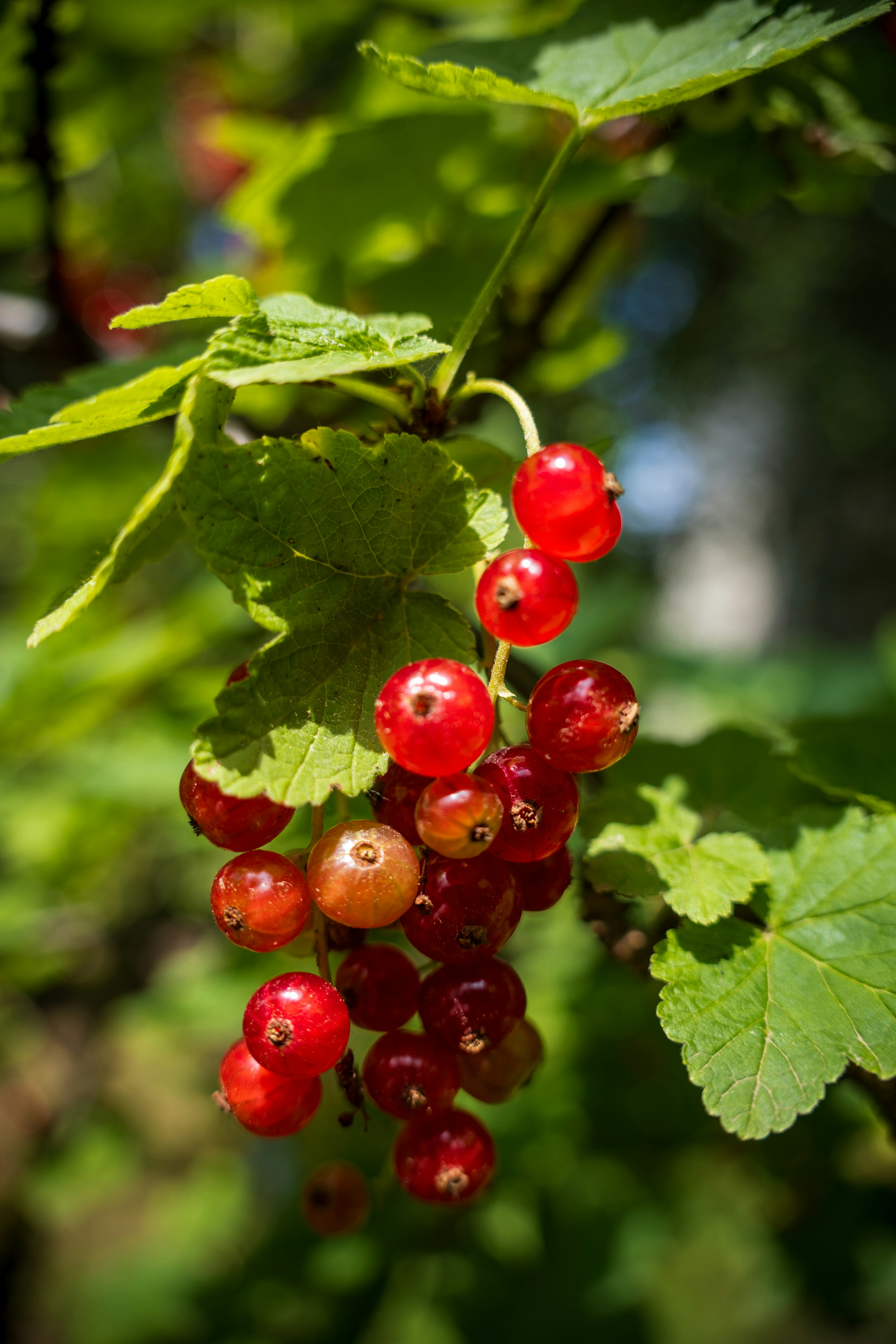 Photo by misha_blivi