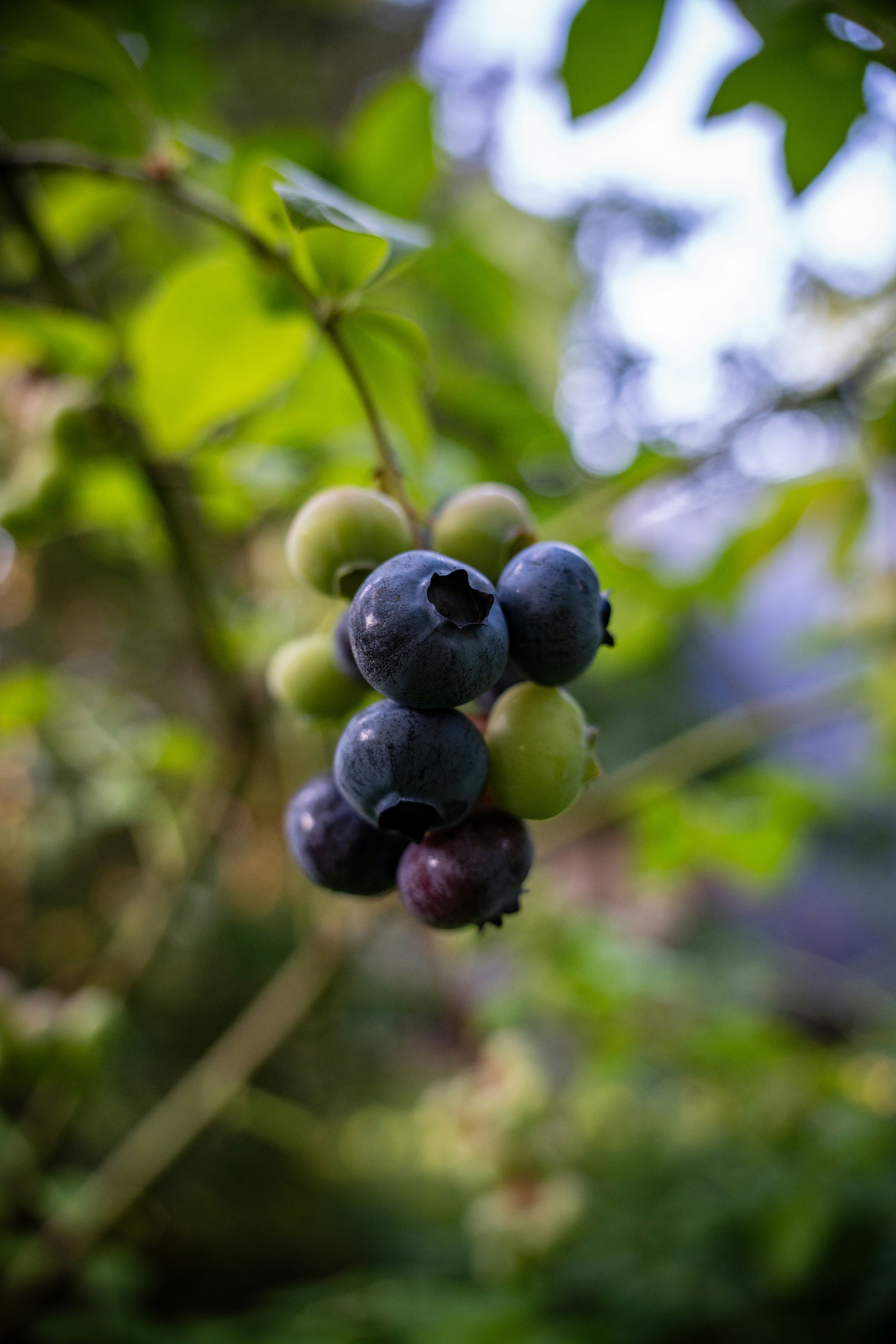 Photo by misha_blivi