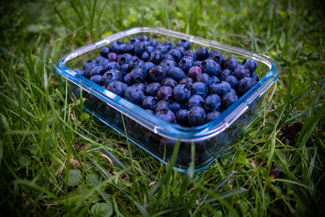 A plastic container filled with blueberries sitting in the grass,