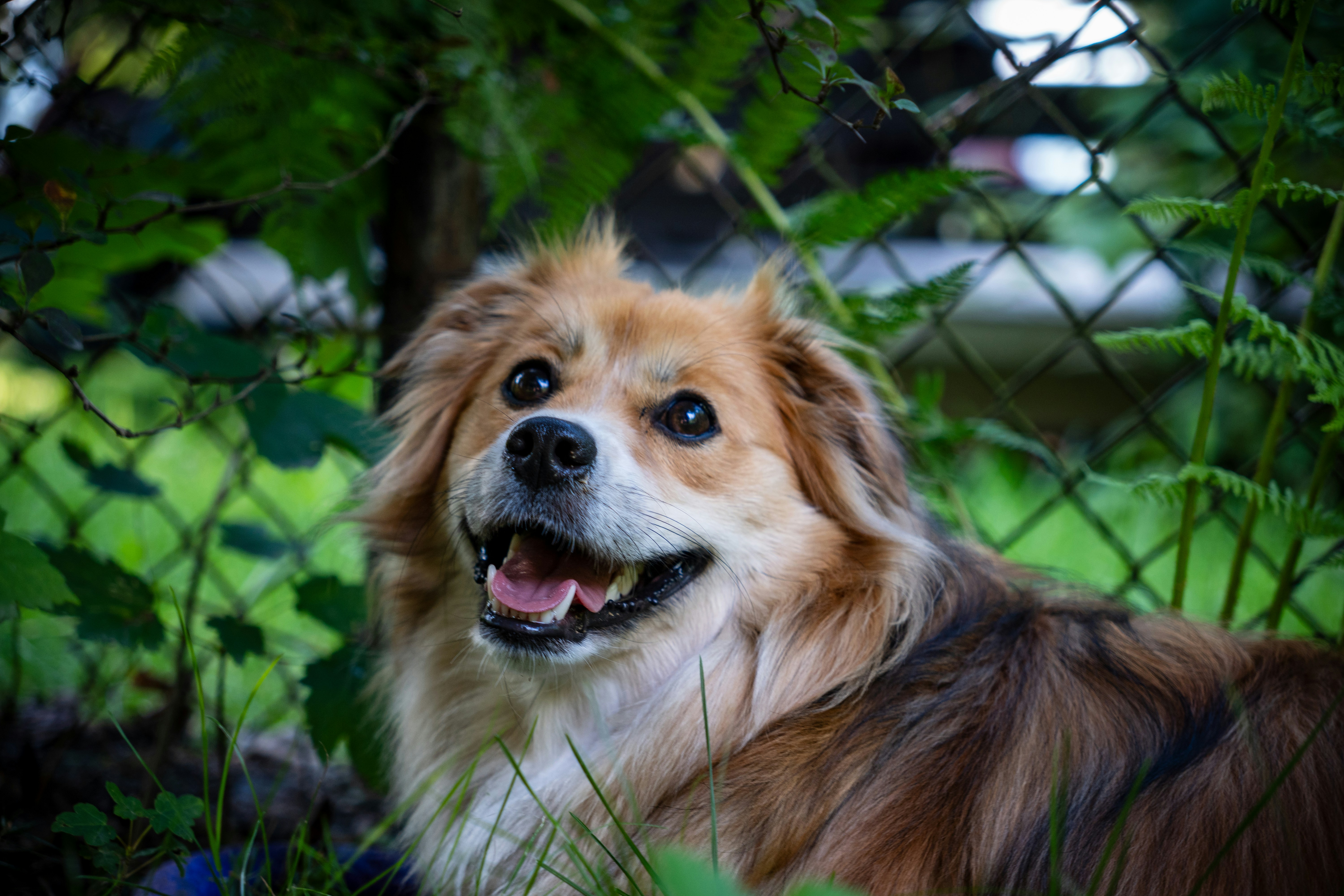 Photo by misha_blivi