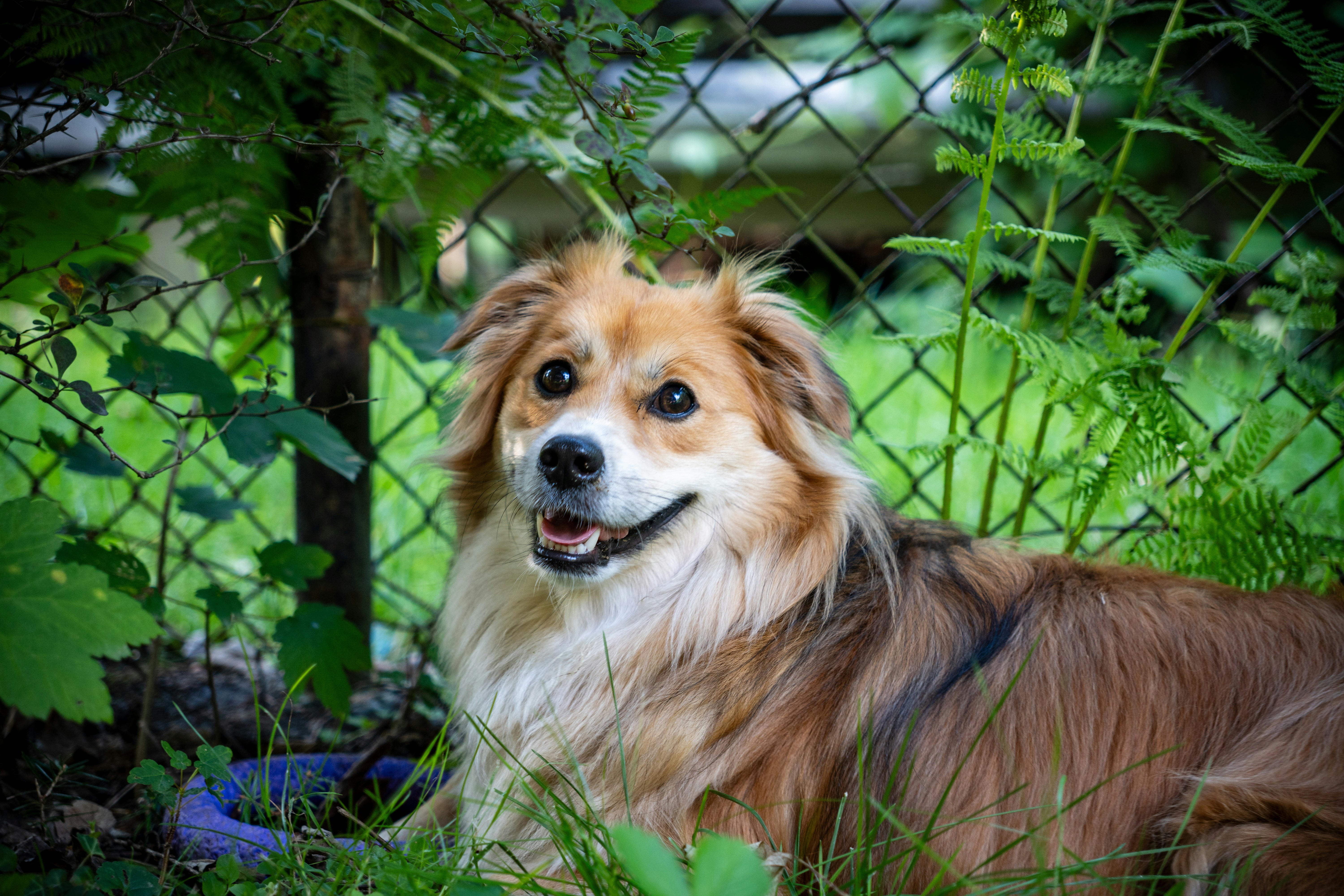 Photo by misha_blivi