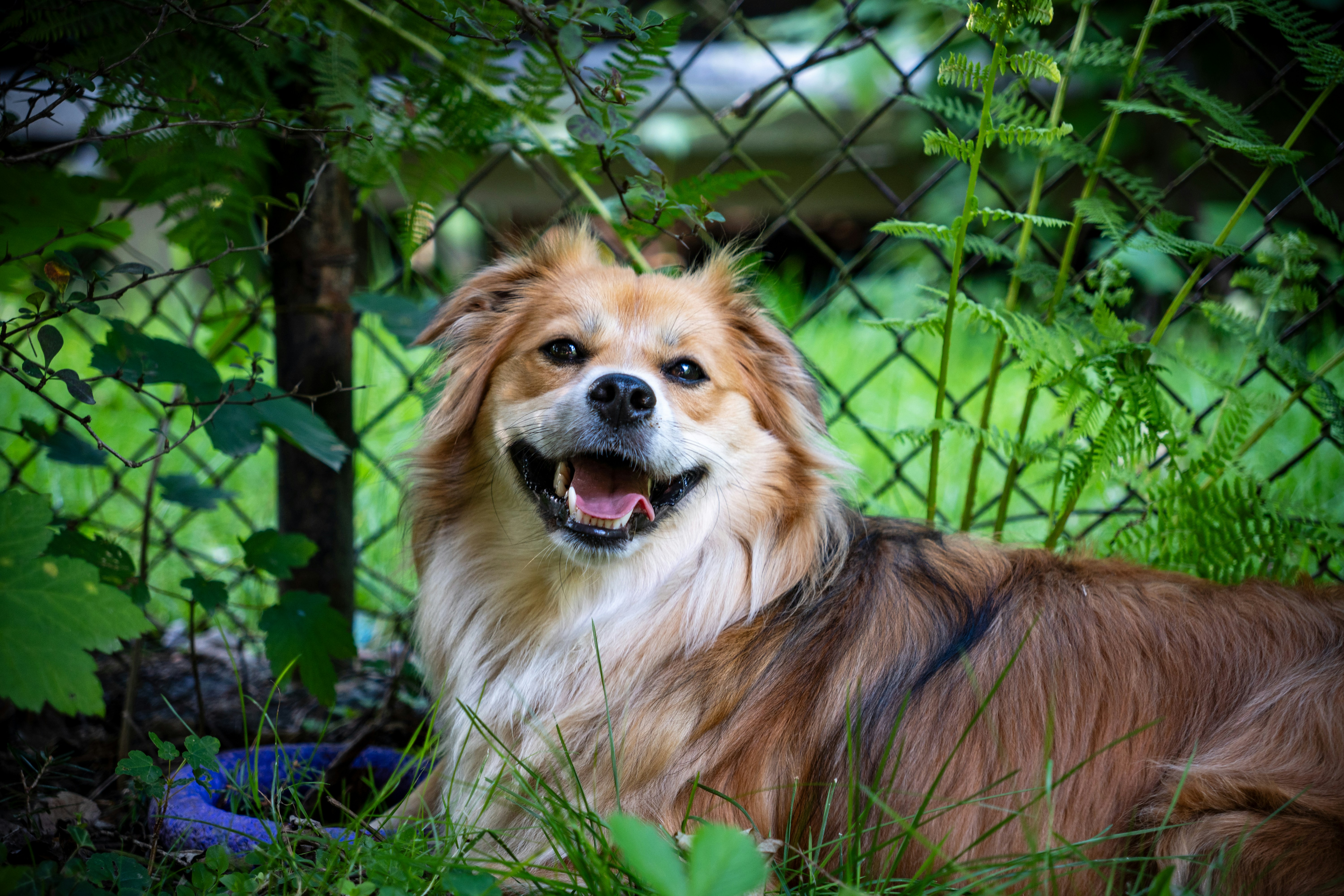 Photo by misha_blivi