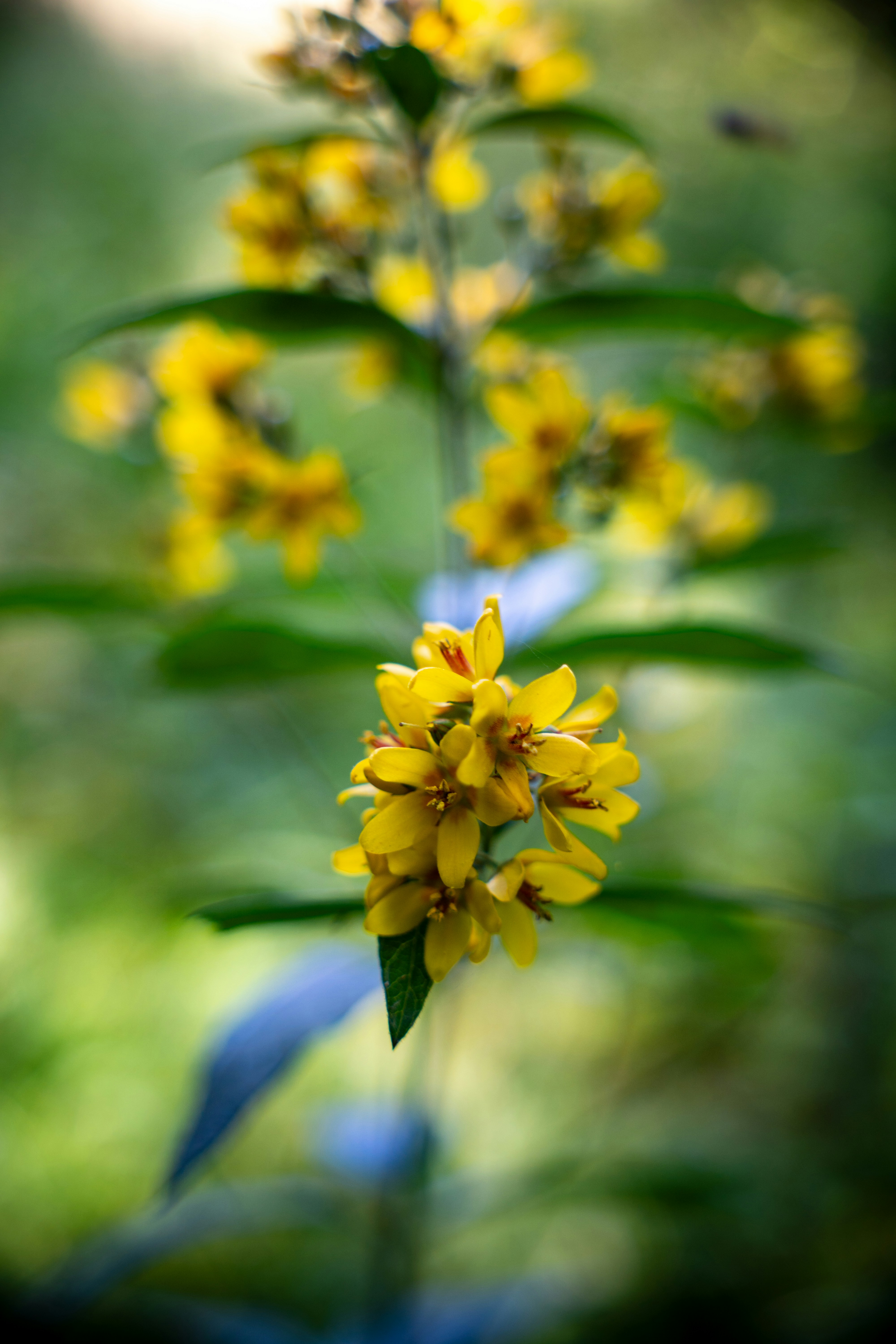 Photo by misha_blivi