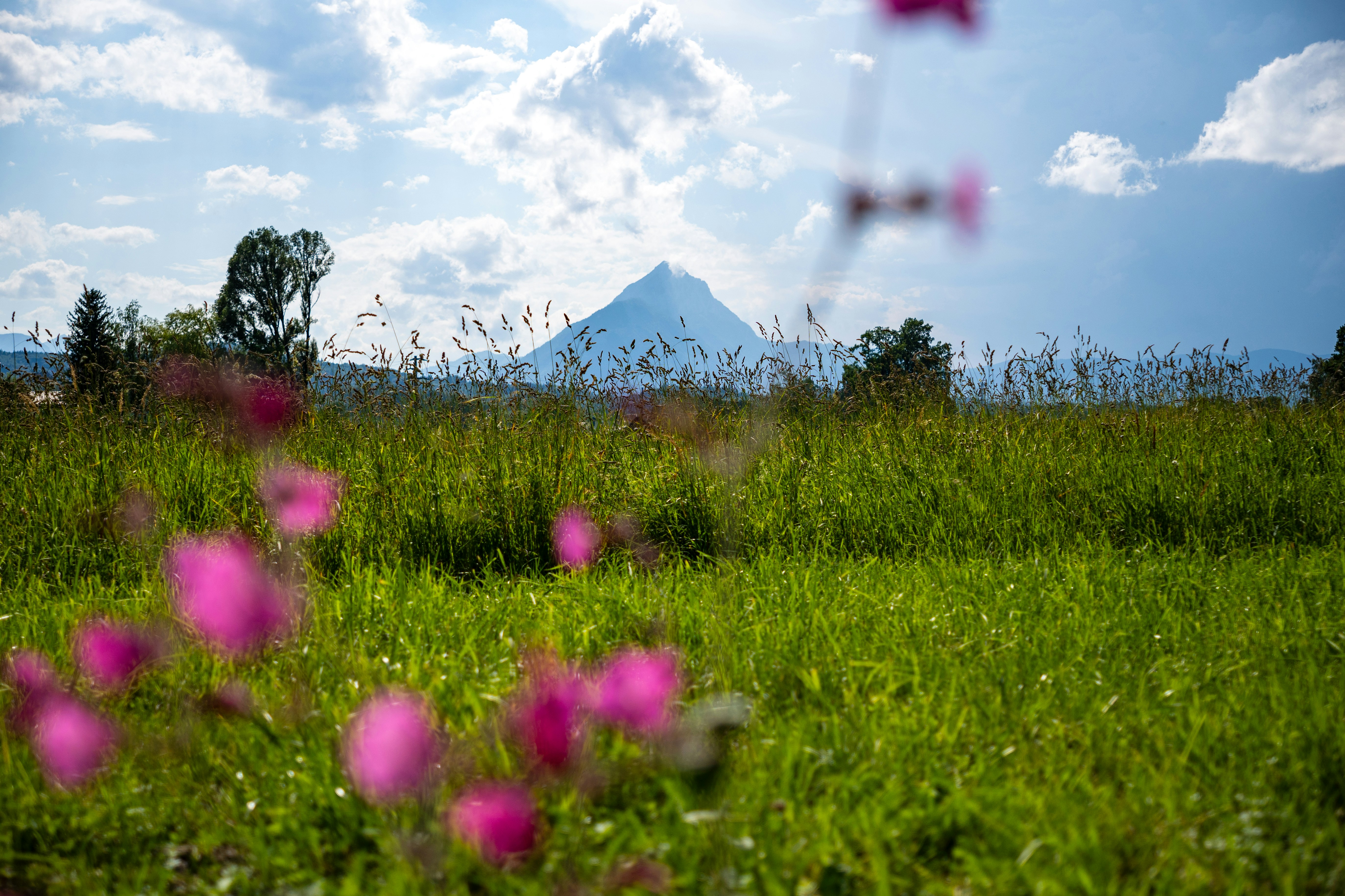 Photo by misha_blivi