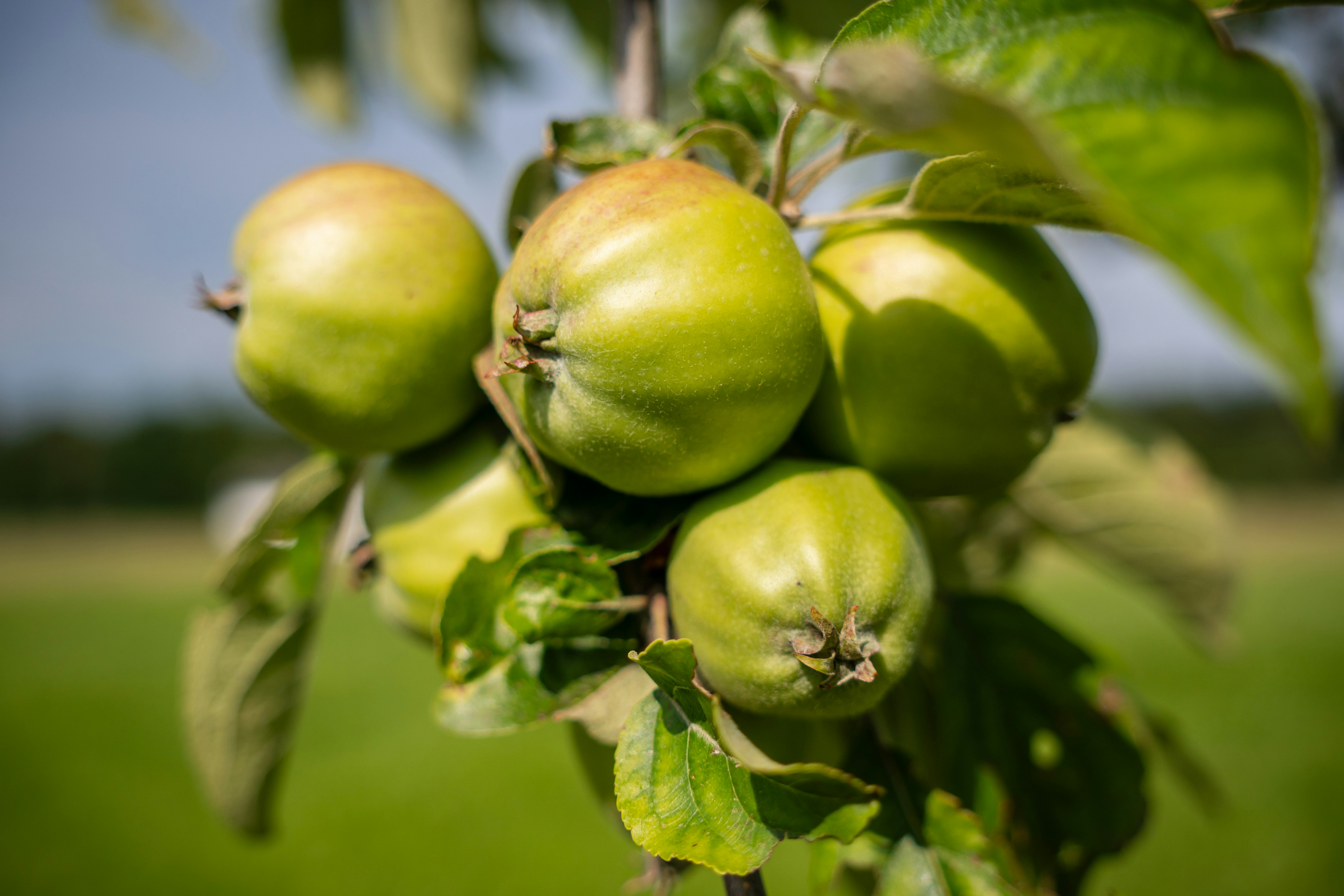 Photo by misha_blivi