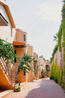 A row of houses with a brick walkway between them