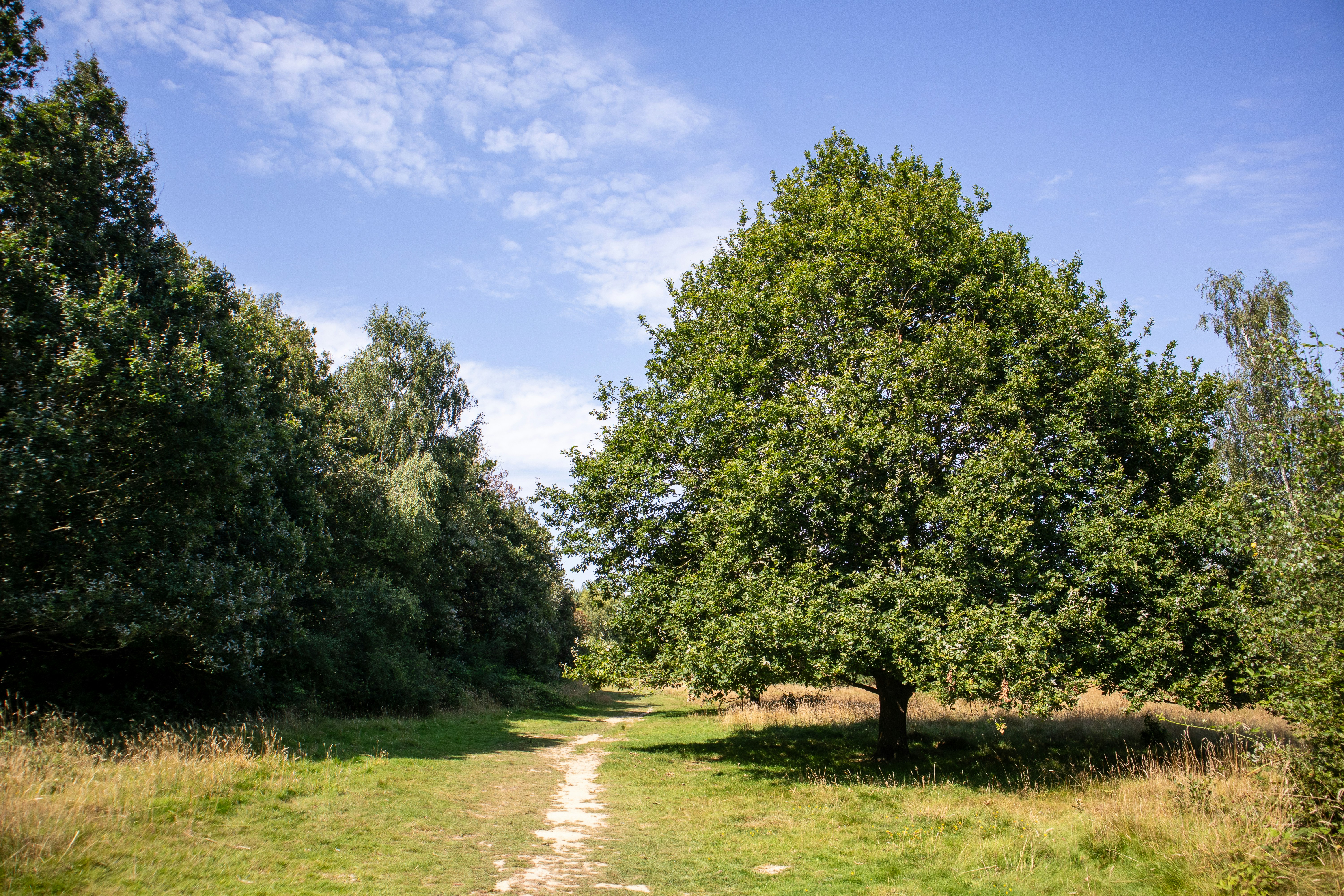 Photo by margarita30