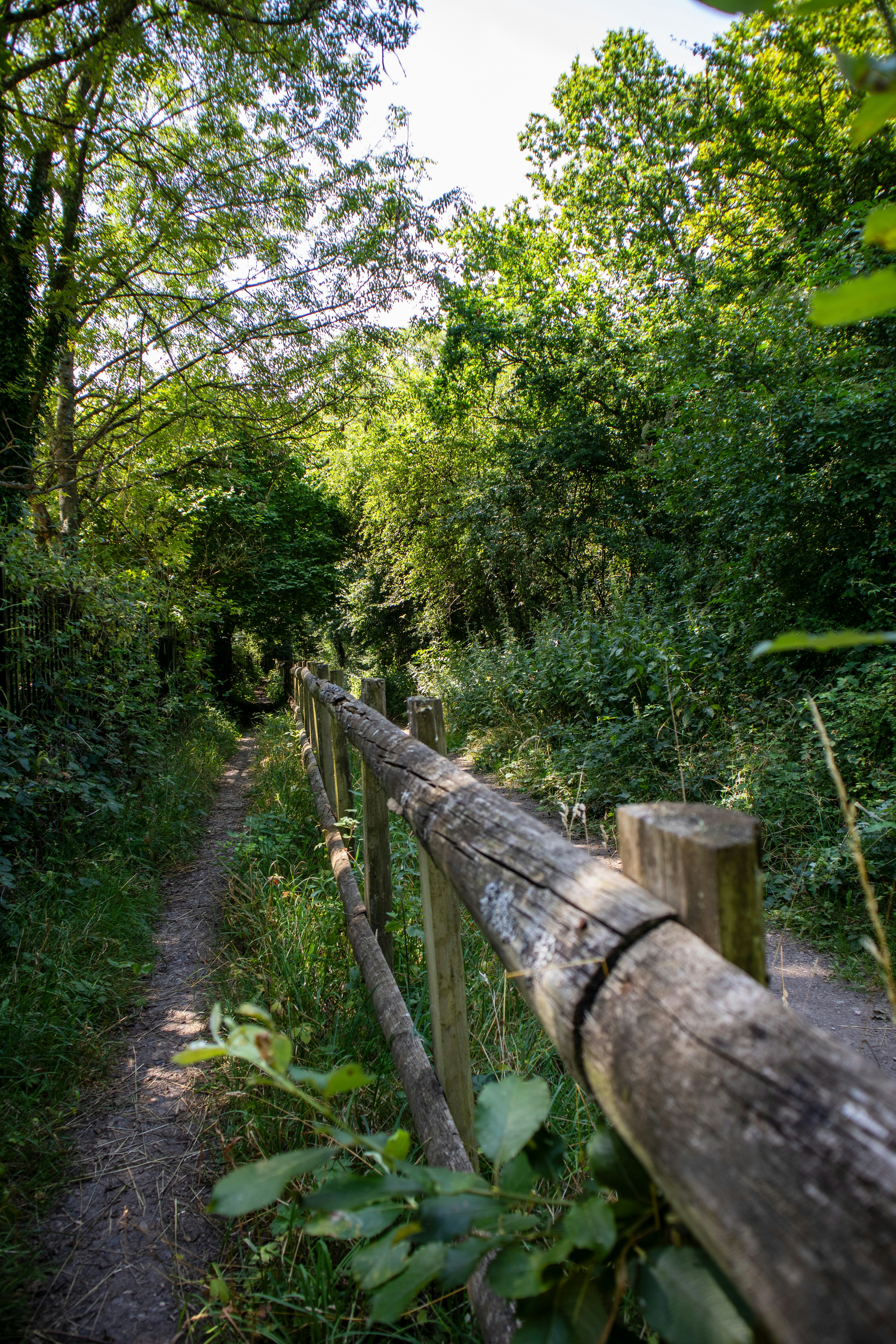 Photo by margarita30