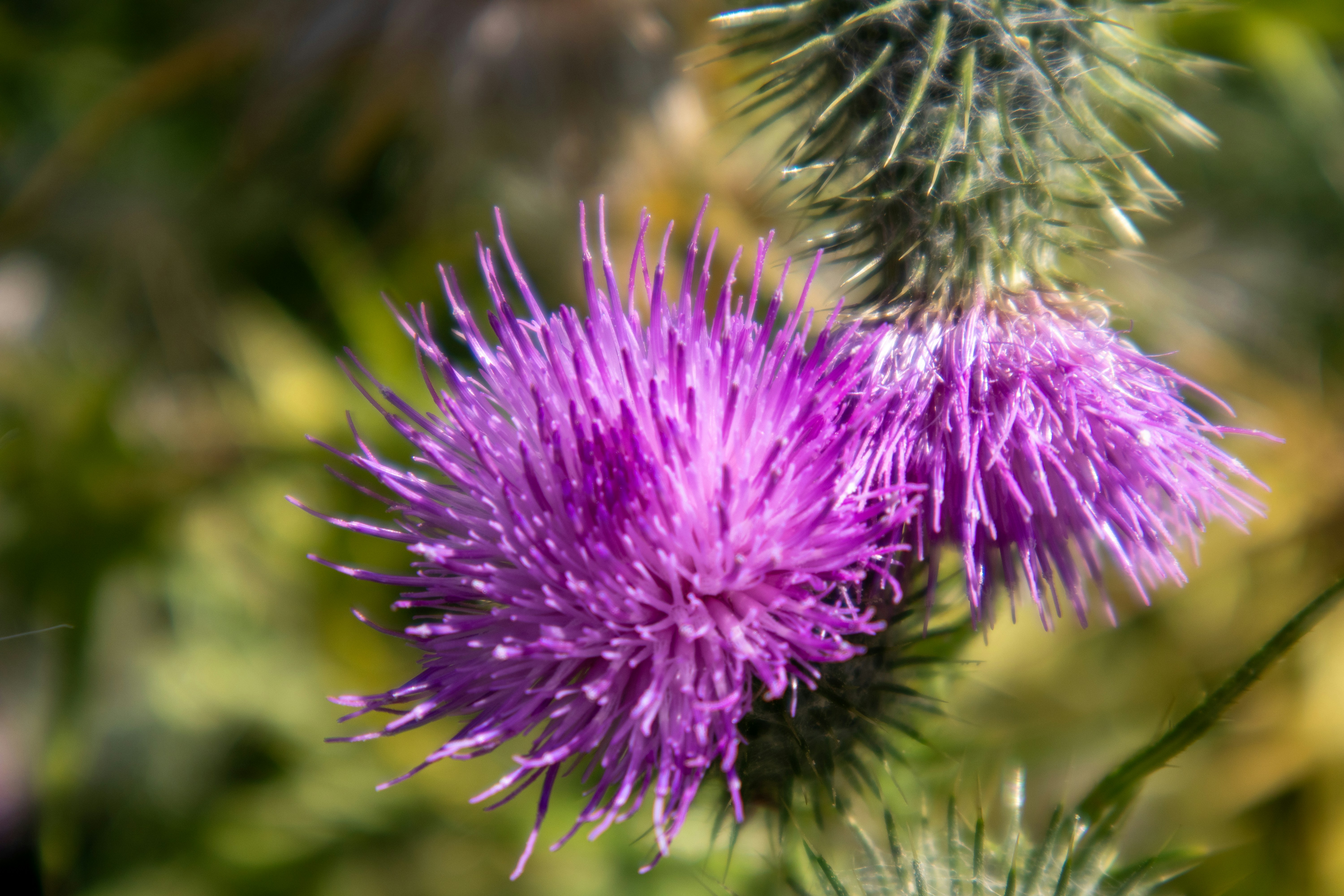 Photo by margarita30