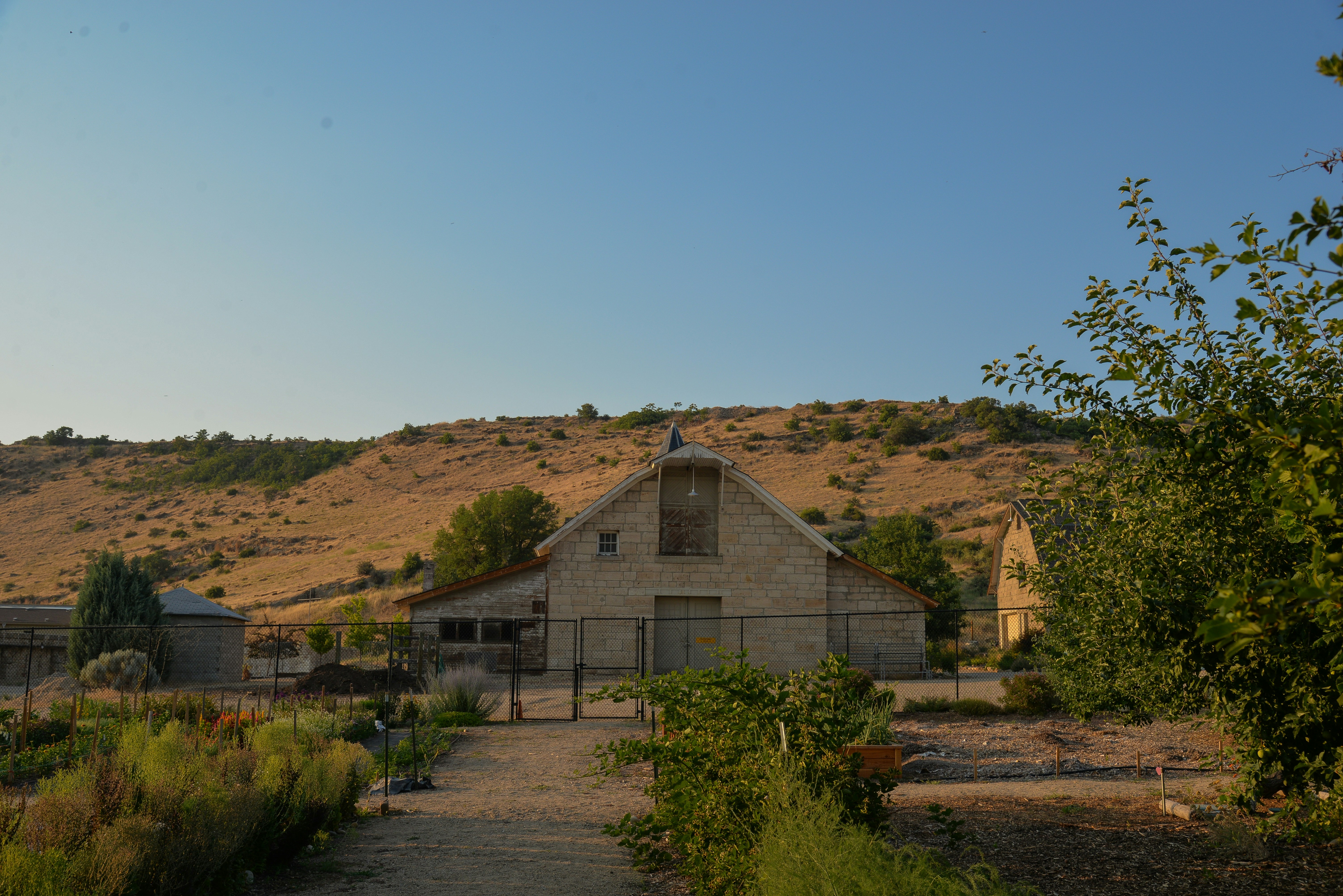 A dirt path leading to a building in the middle of a field, Sunny side of the mountain