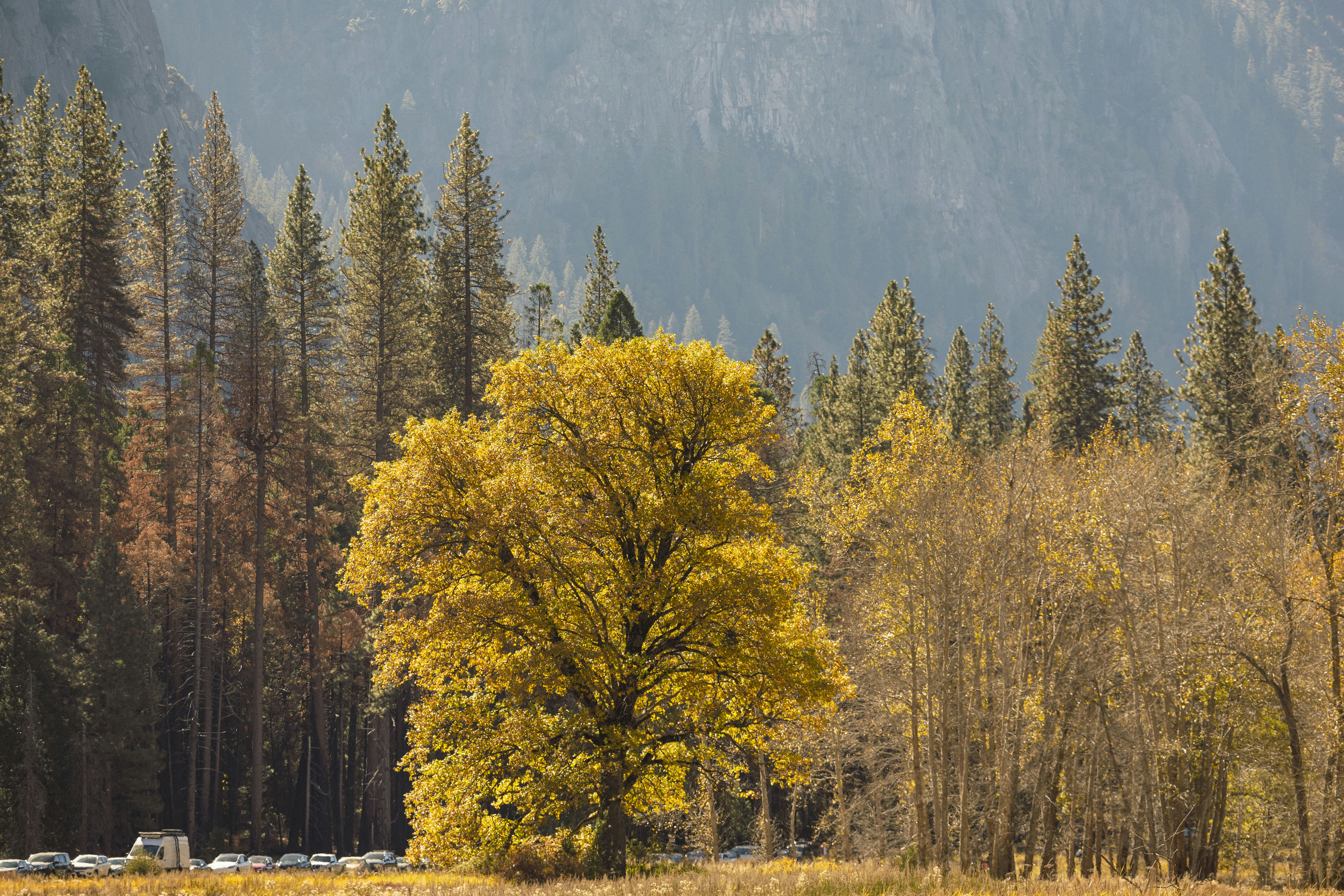 Photo by leo_visions_