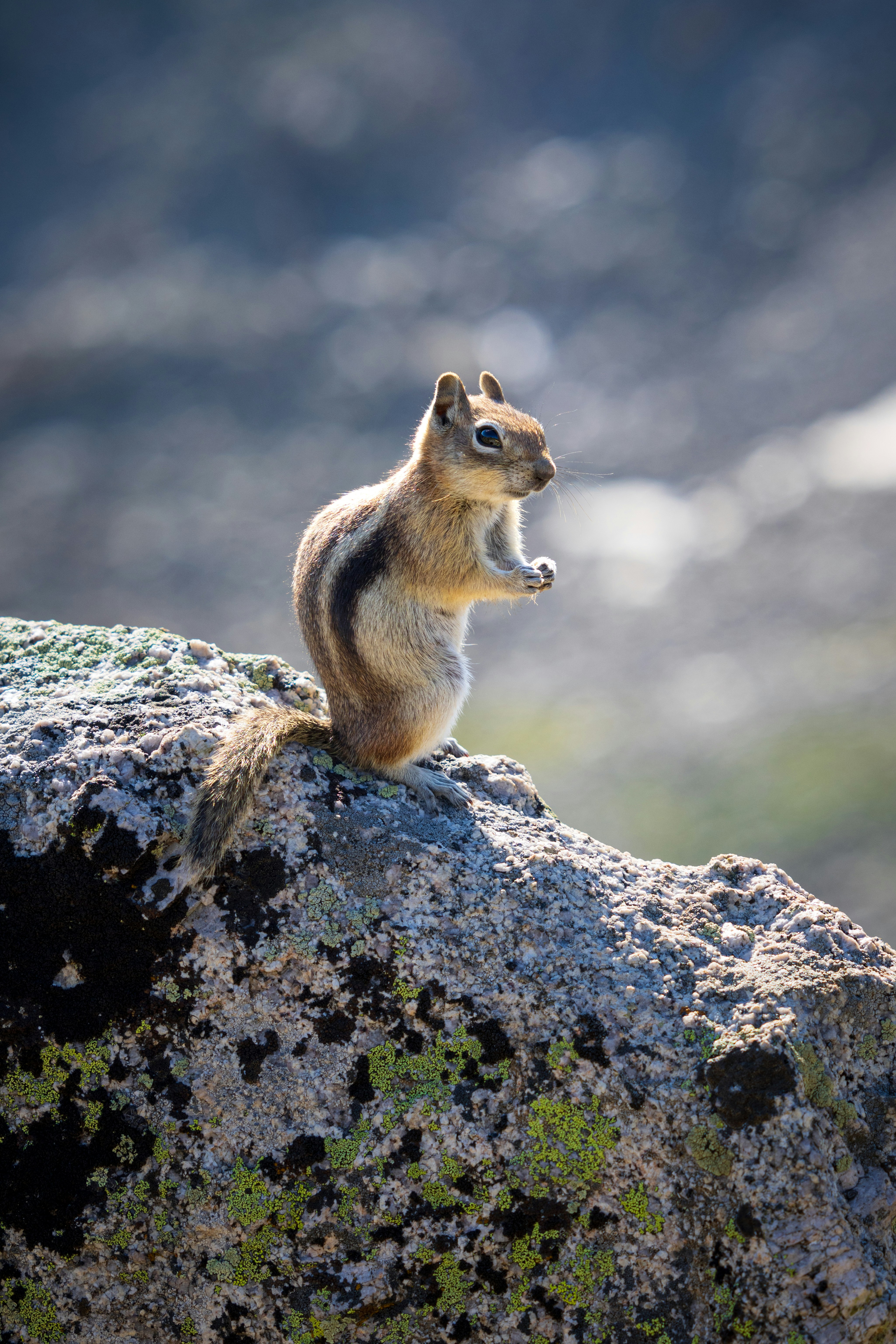 Photo by brandonstoll