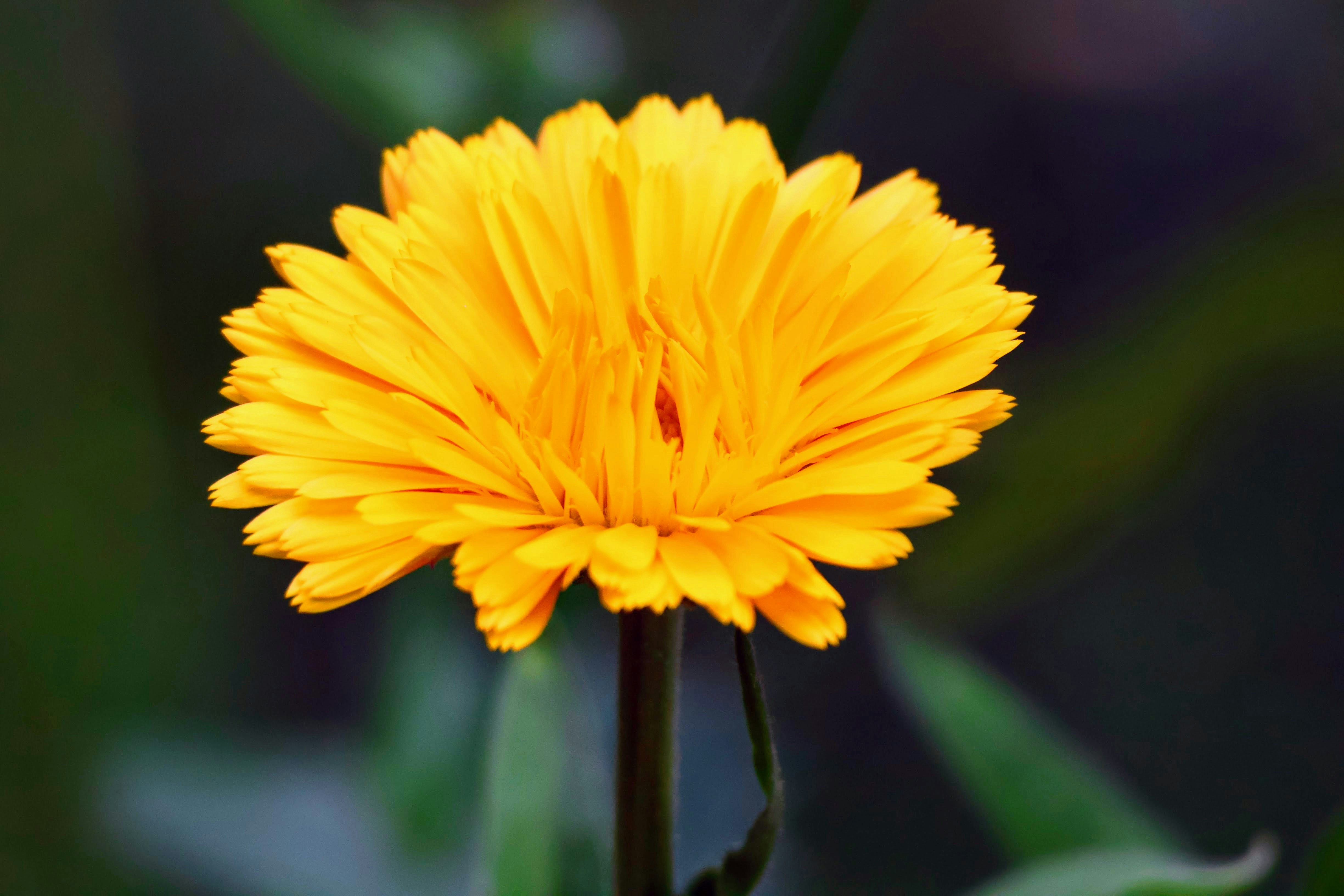 Photo by shooter__andy