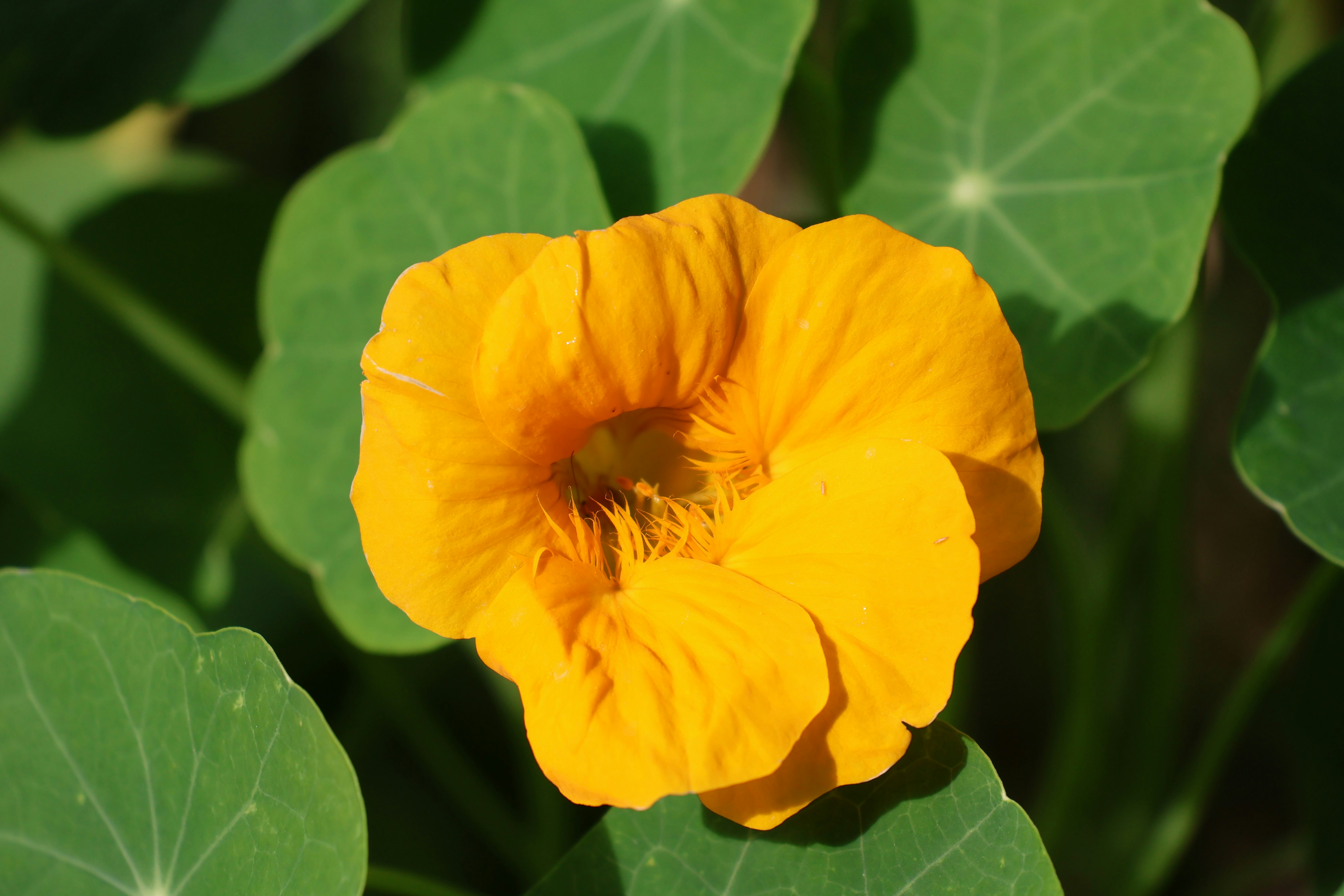 Photo by shooter__andy