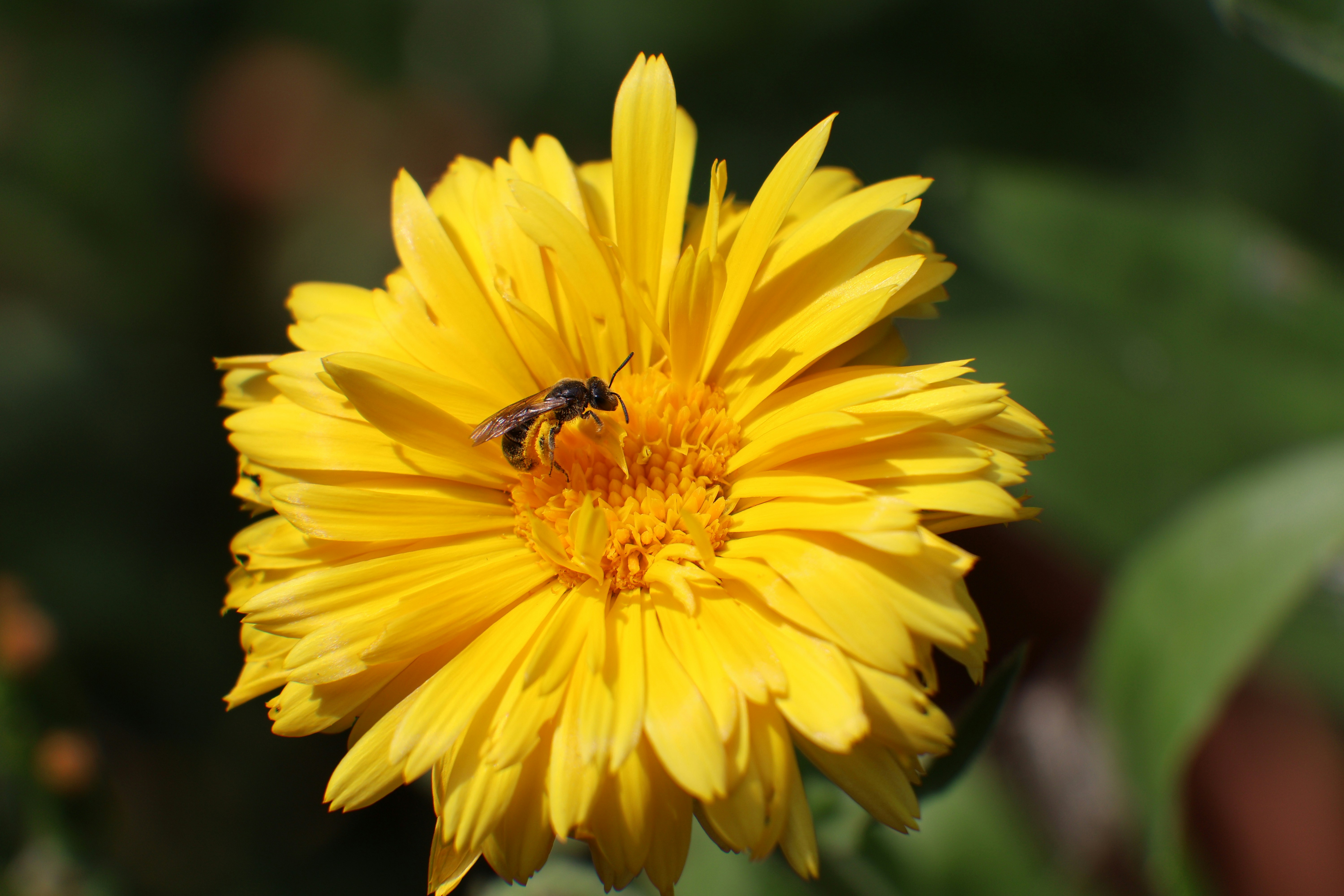 Photo by shooter__andy