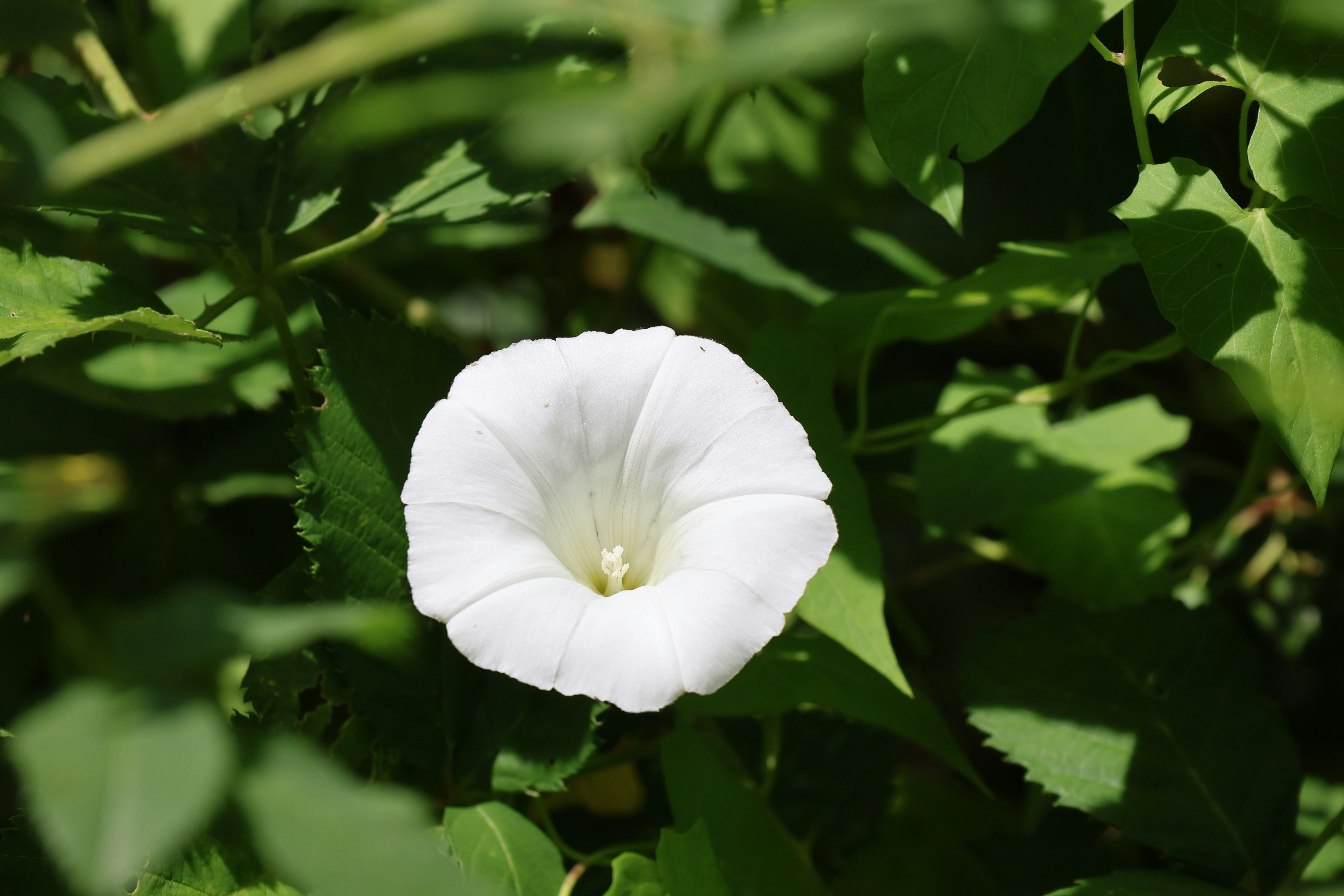 Photo by shooter__andy