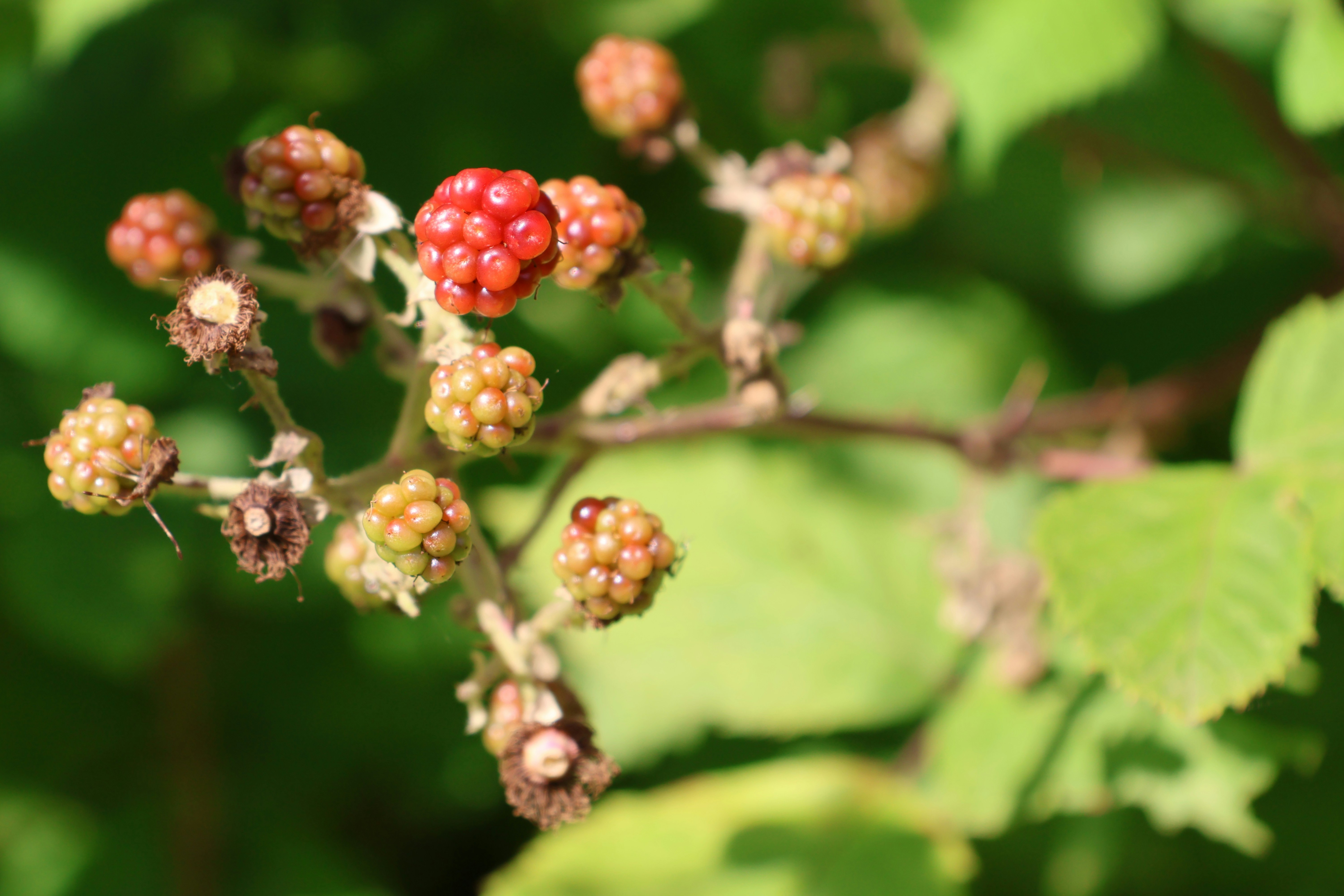 Photo by shooter__andy