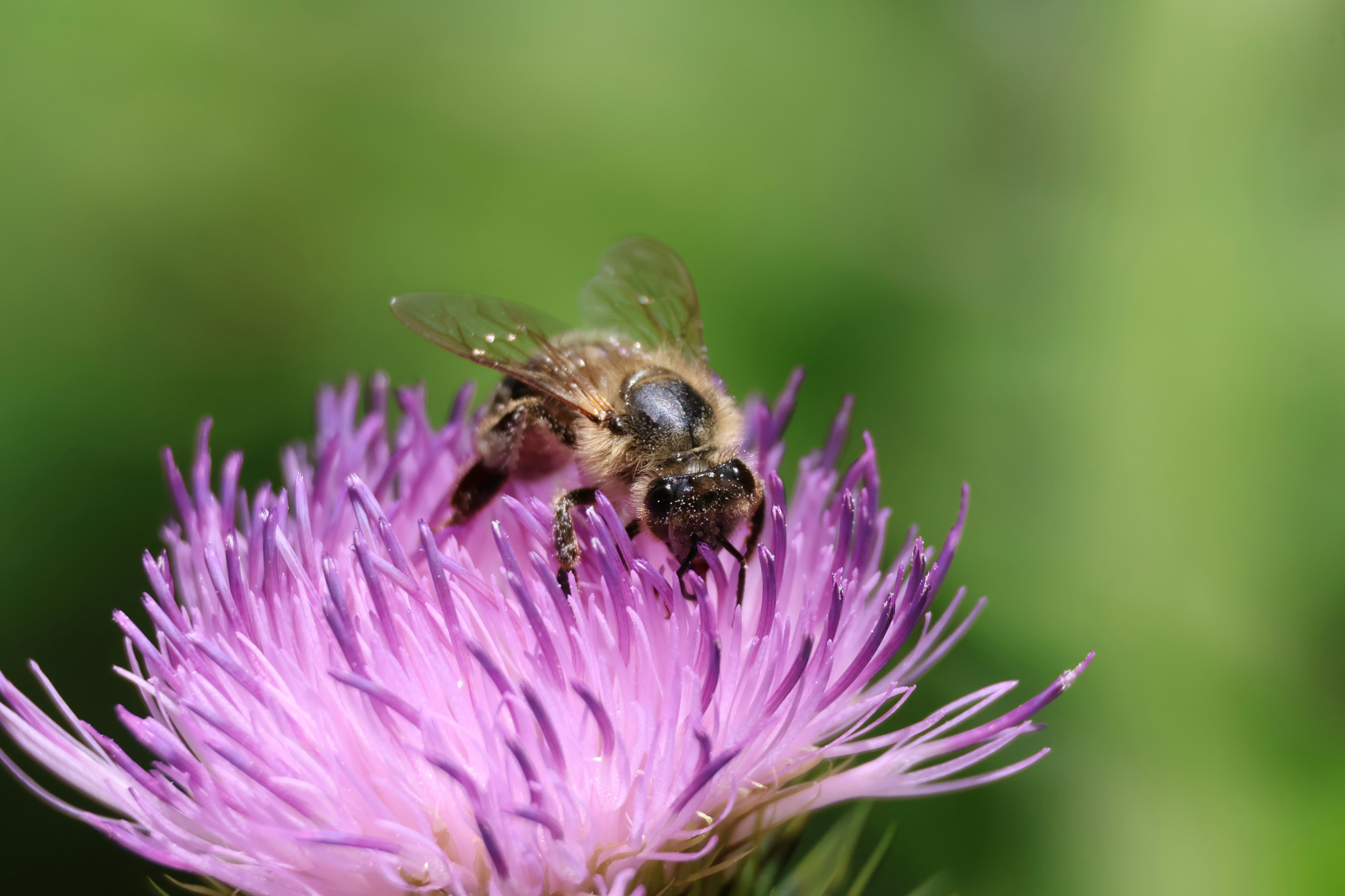 Photo by shooter__andy