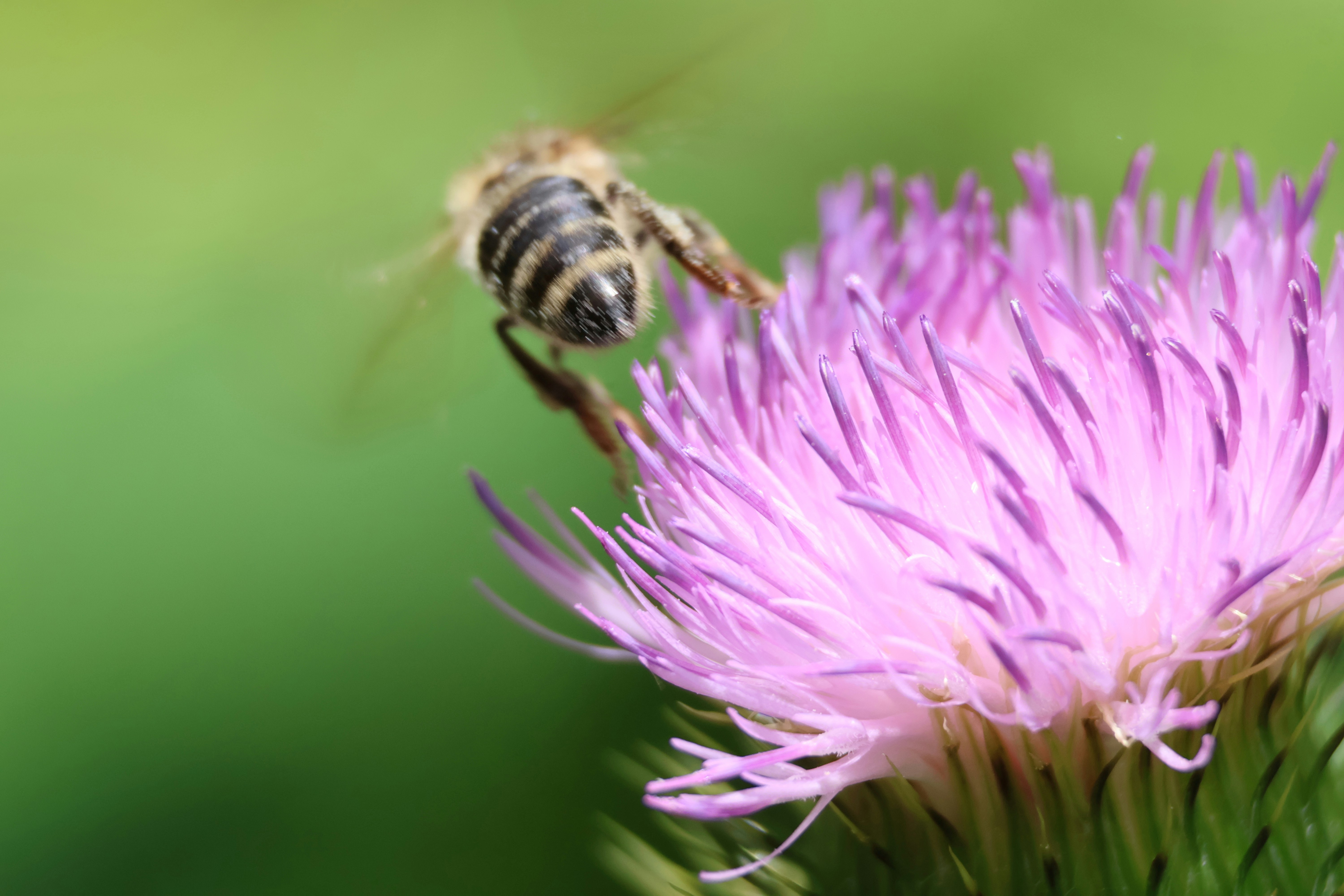 Photo by shooter__andy