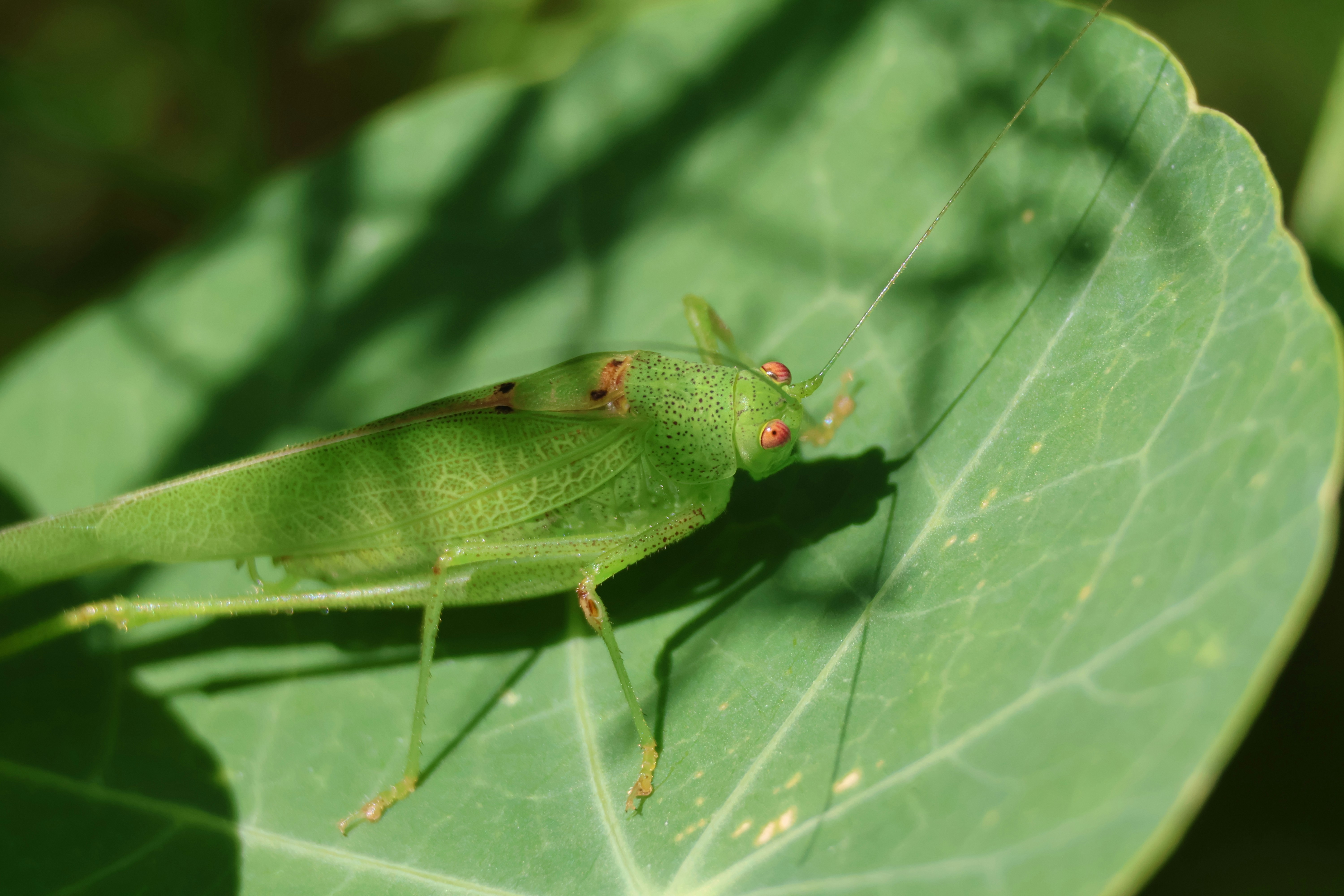 Photo by shooter__andy