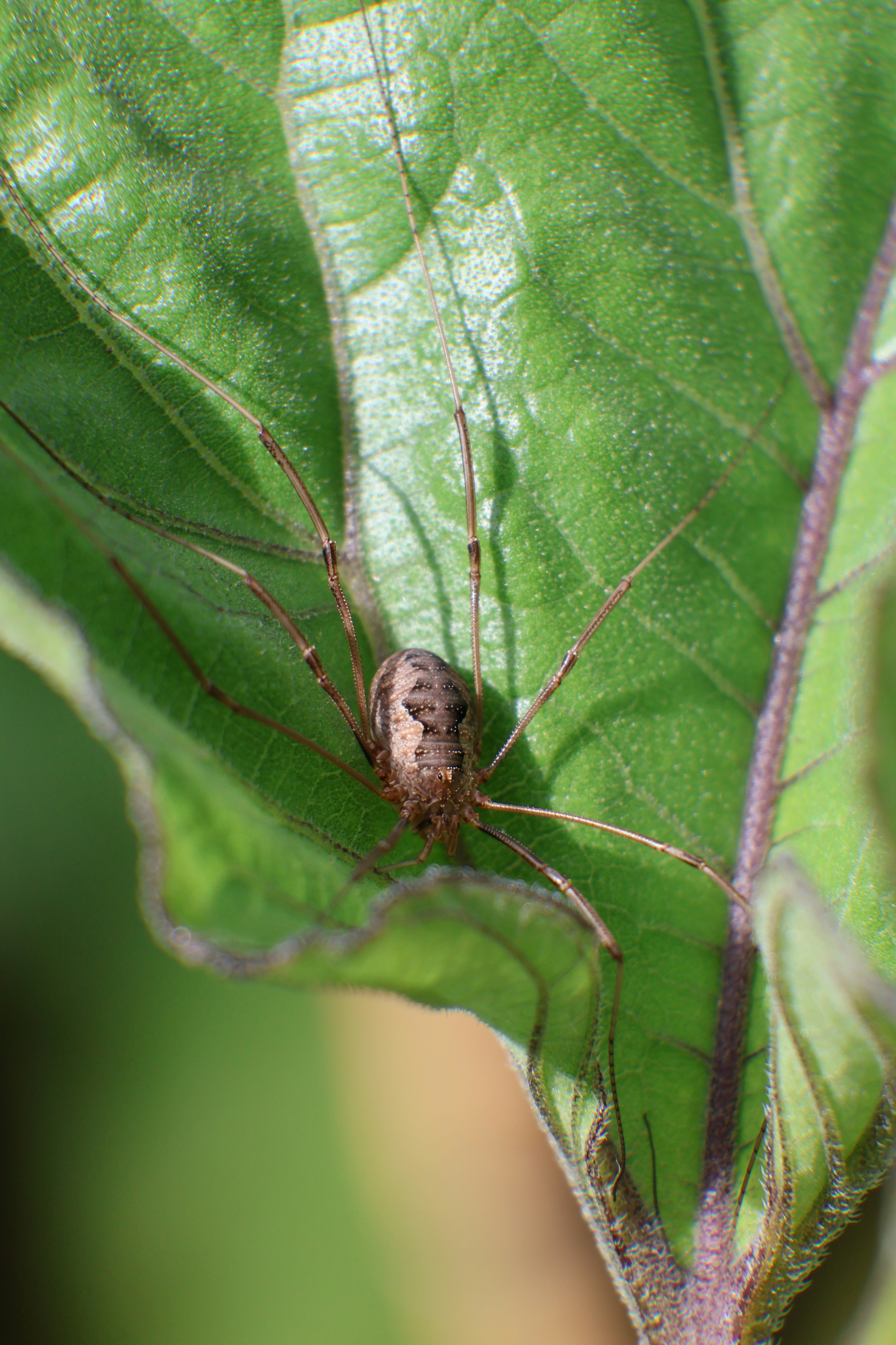 Photo by shooter__andy