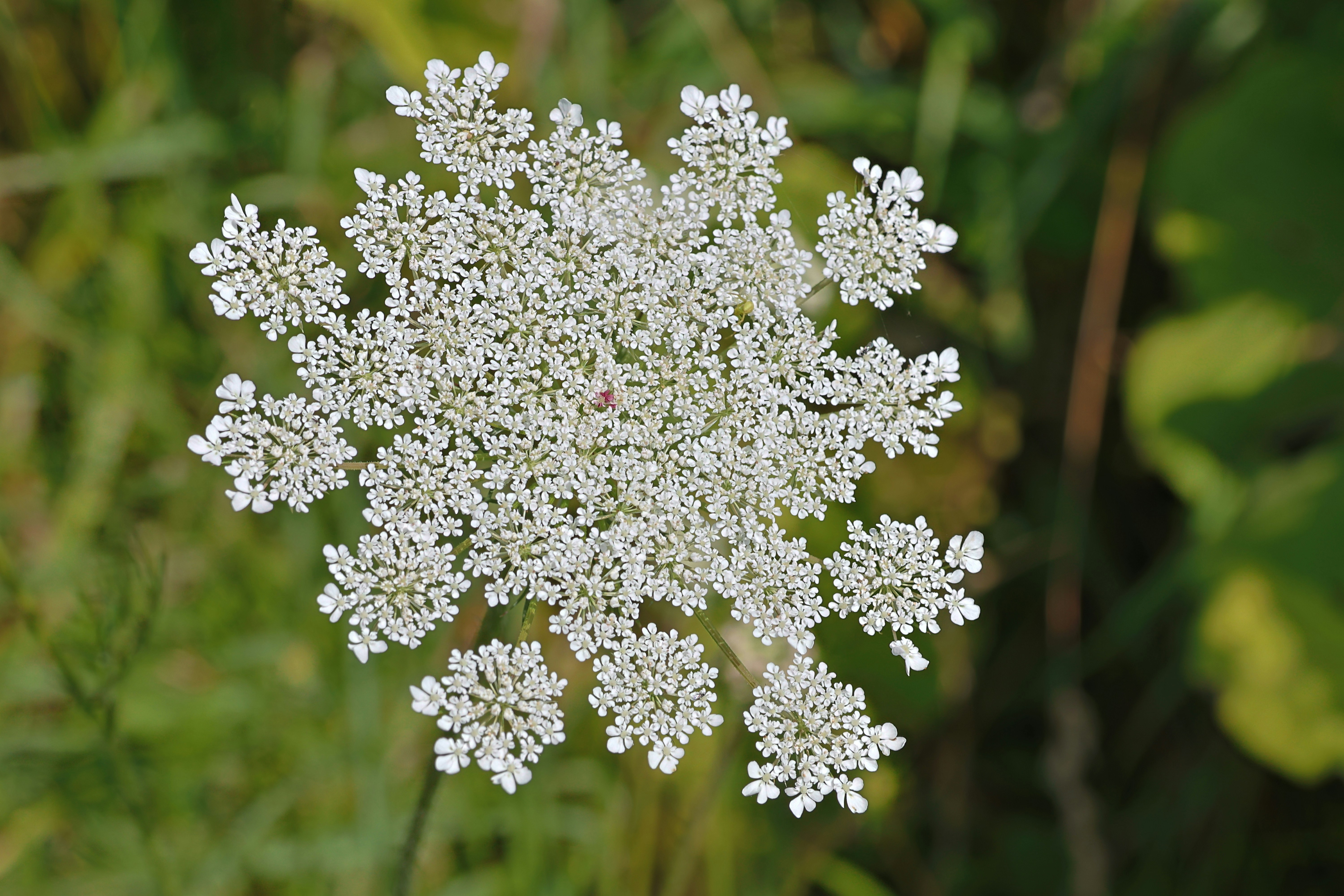 Photo by shooter__andy