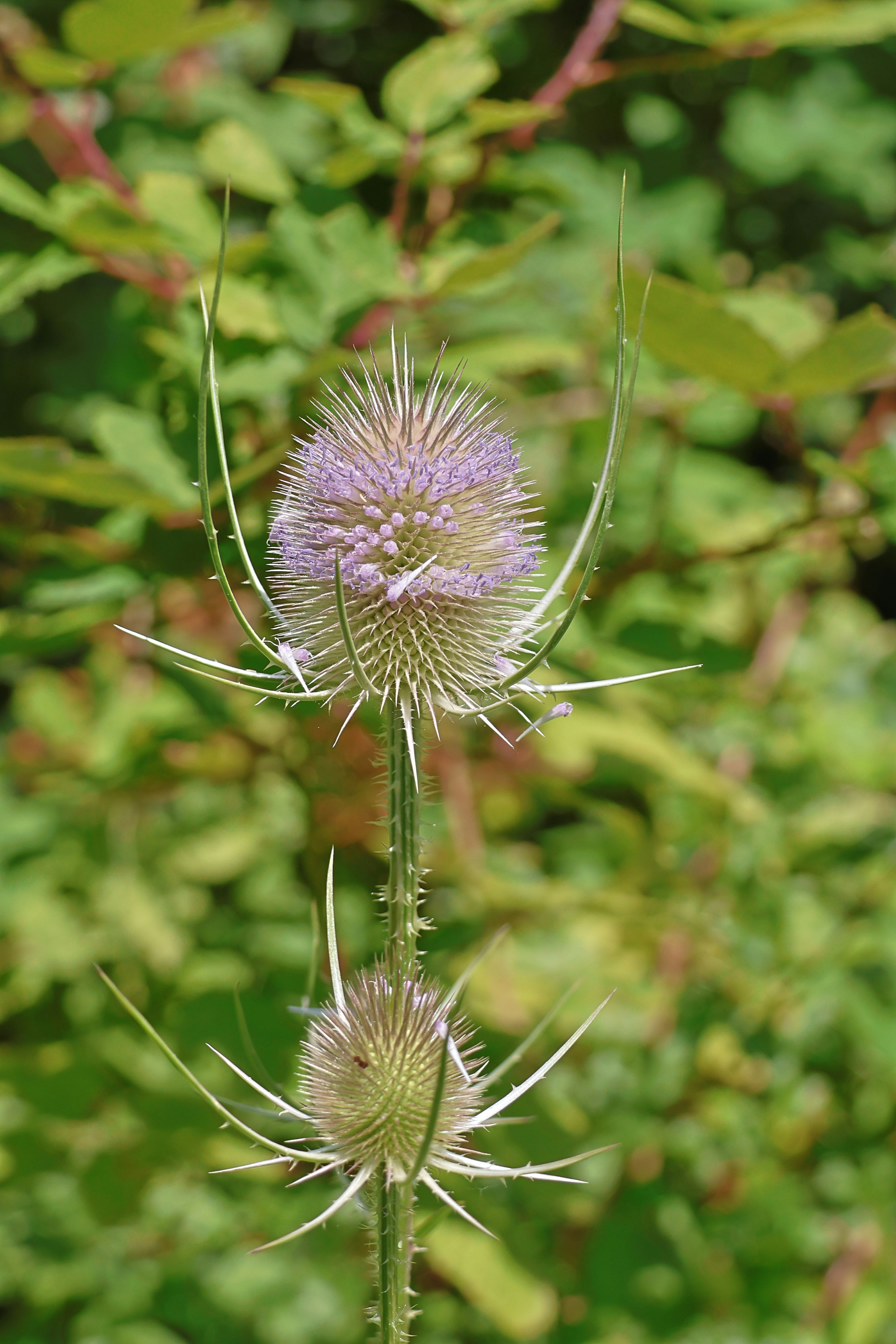 Photo by shooter__andy