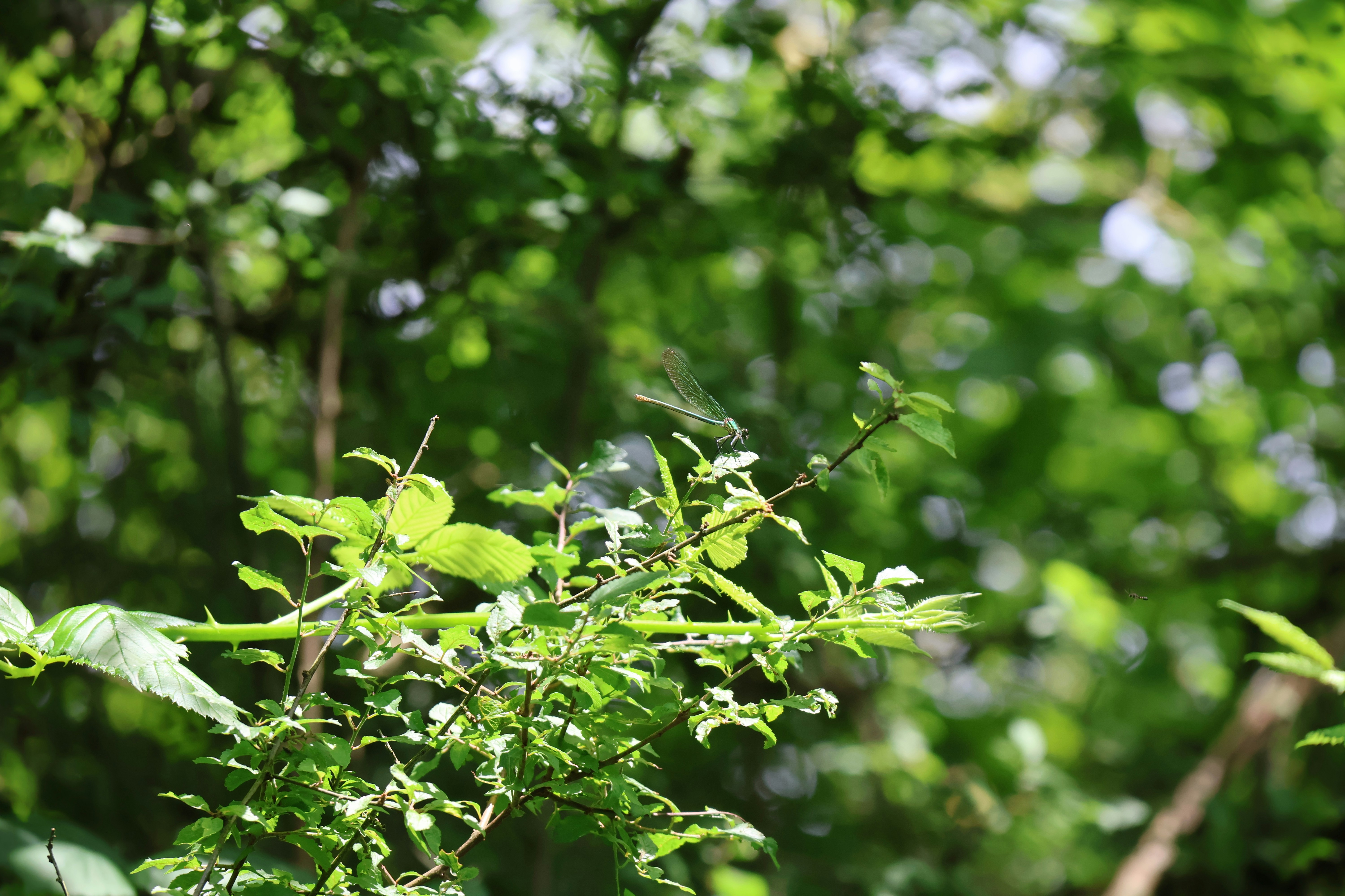 Photo by shooter__andy