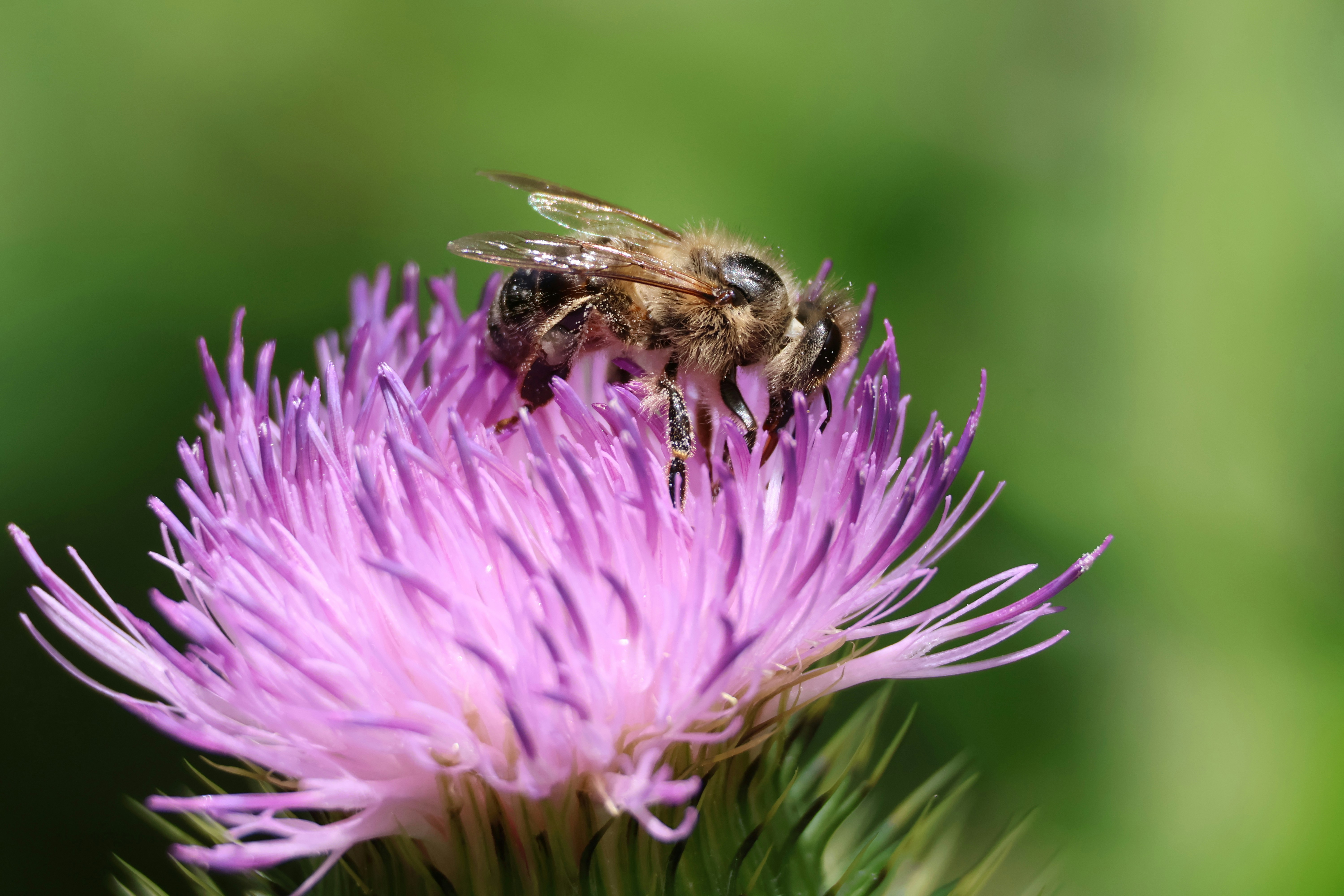 Photo by shooter__andy