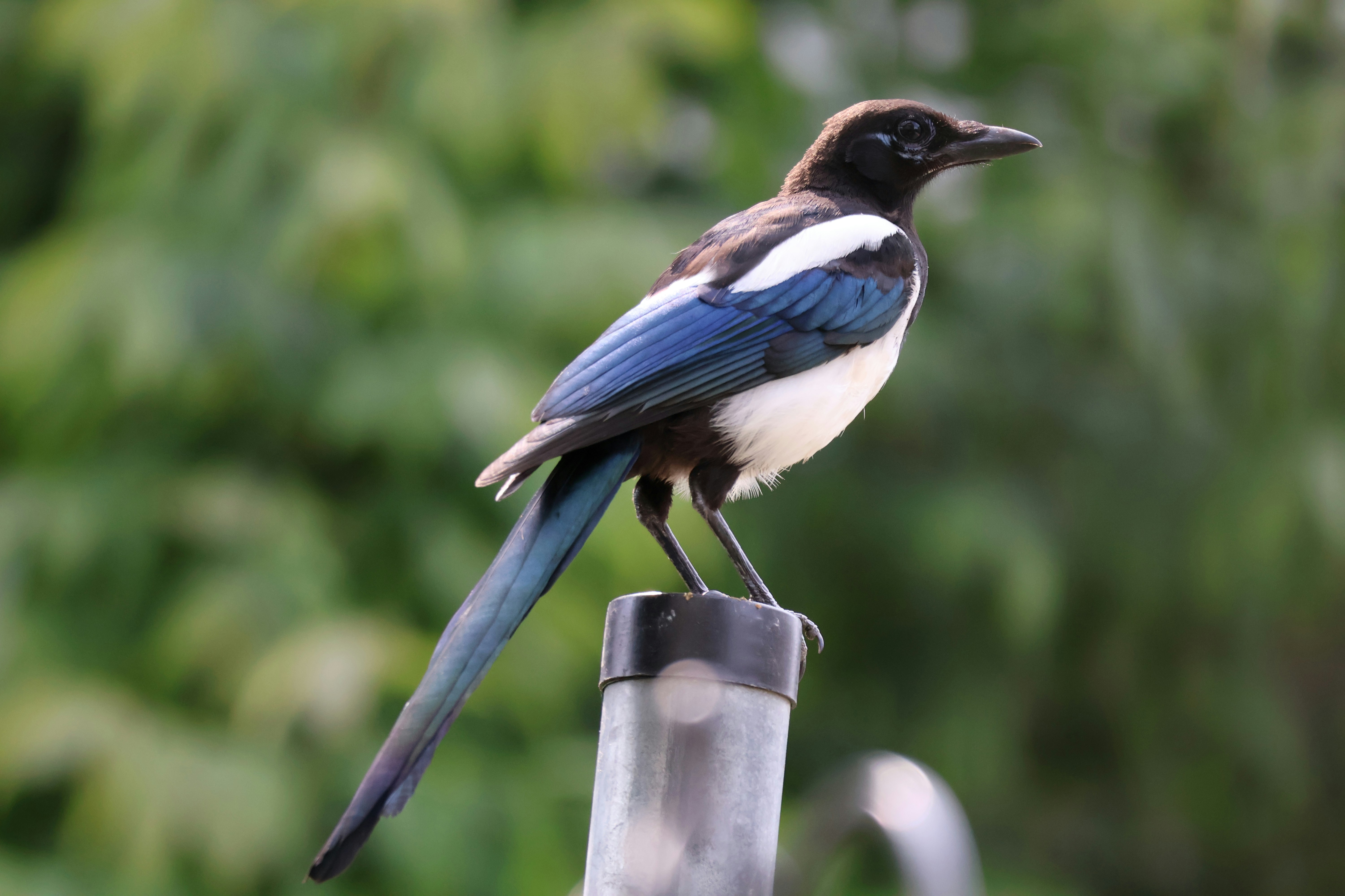 Photo by shooter__andy