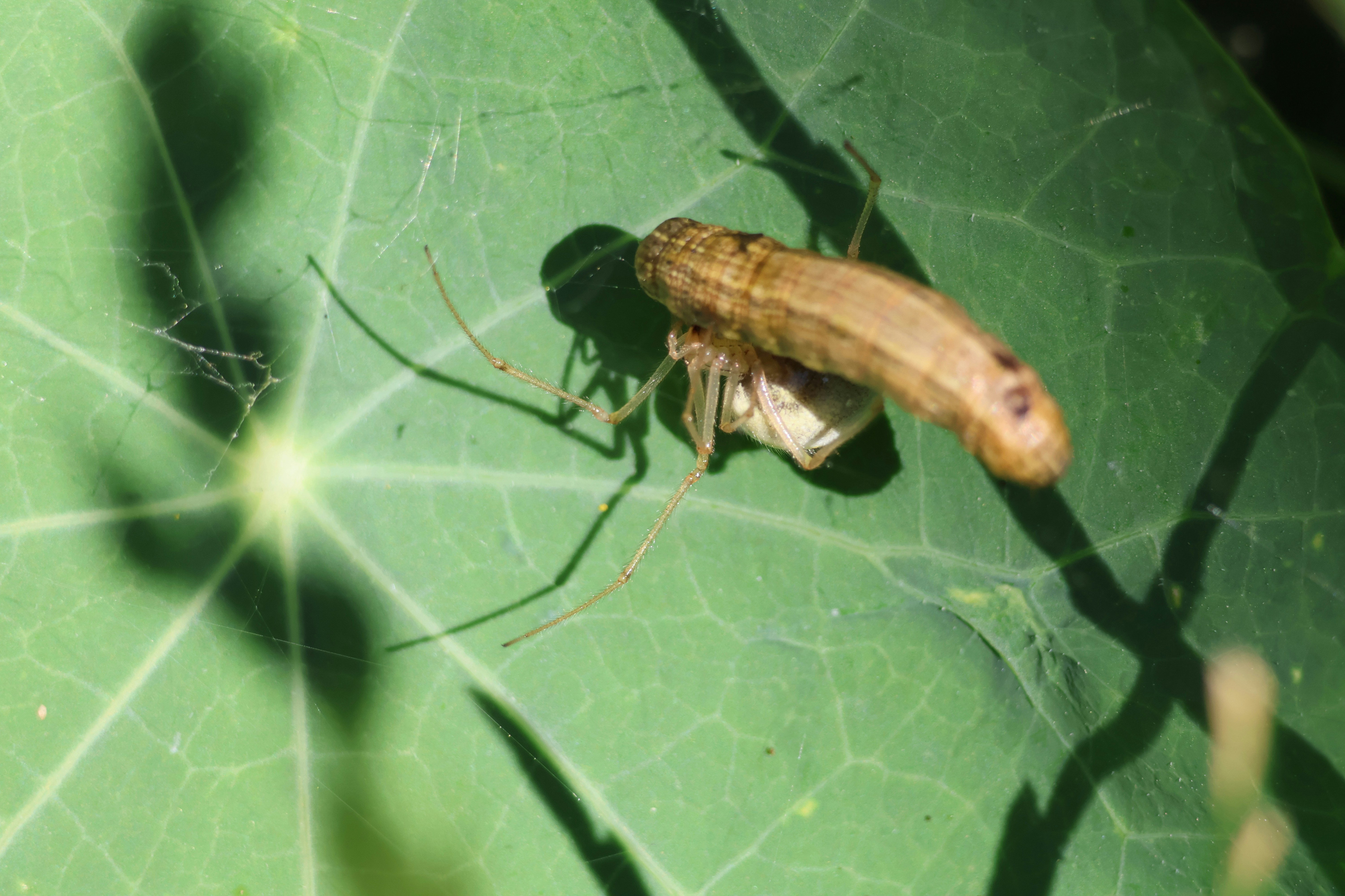 Photo by shooter__andy