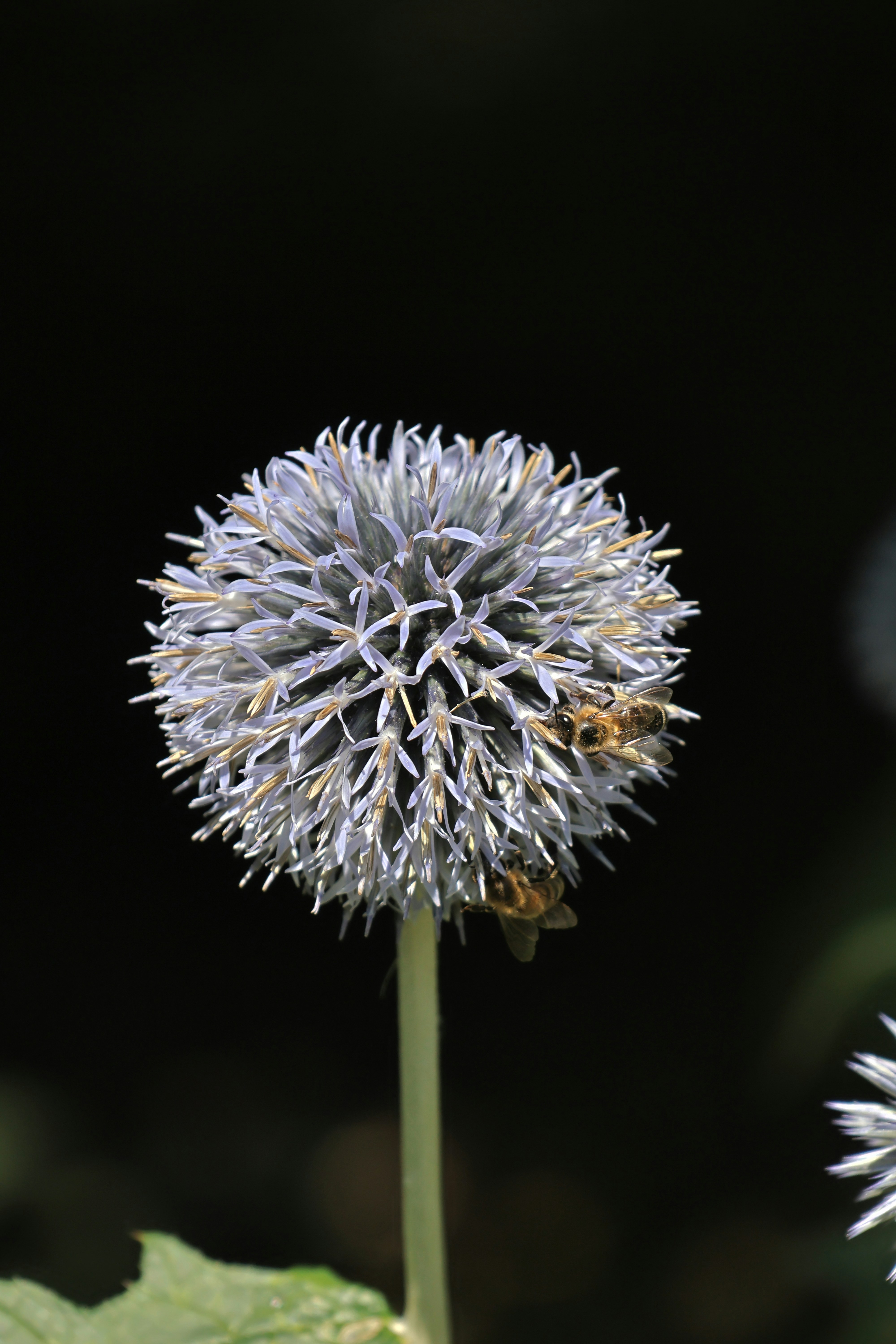 Photo by shooter__andy