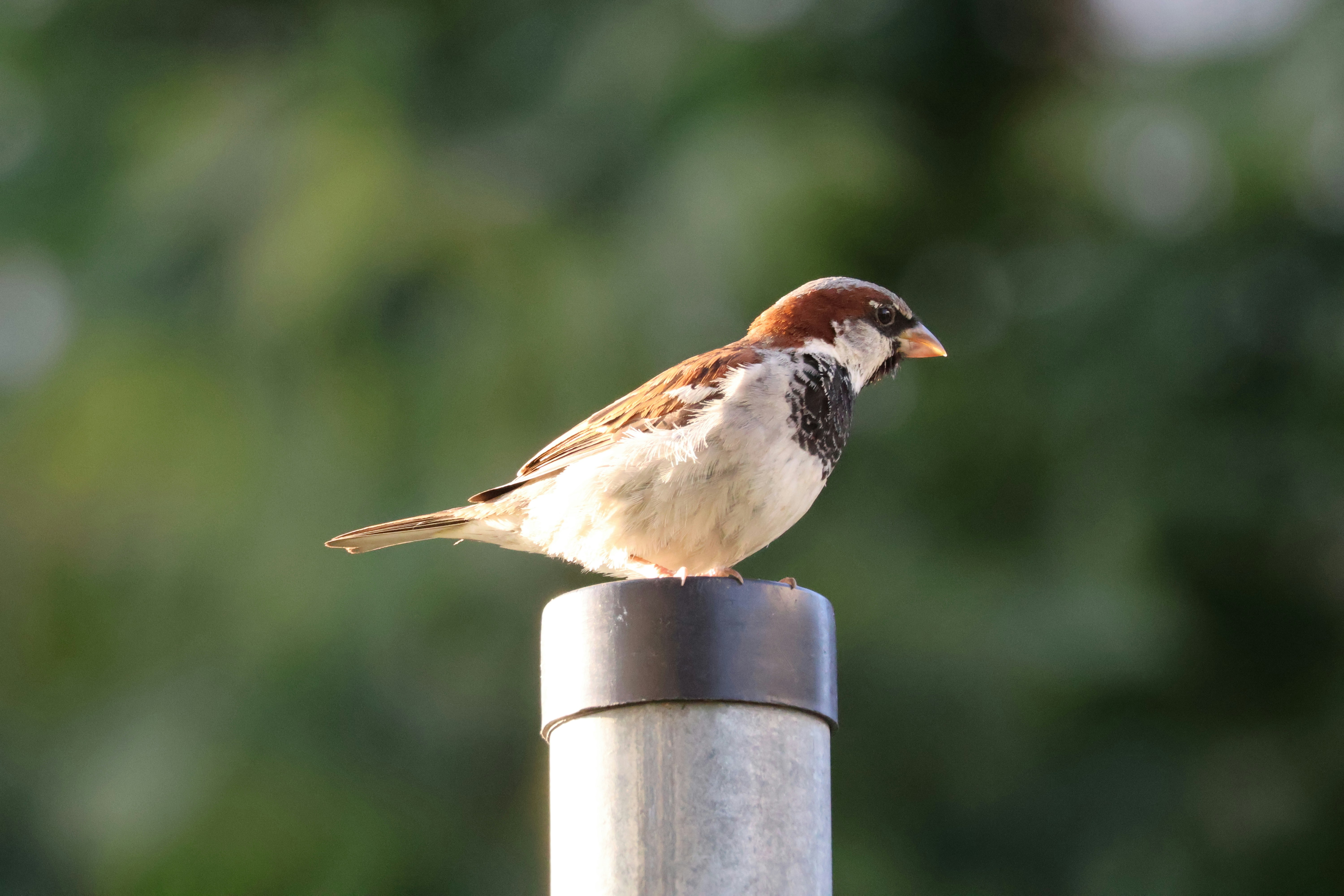 Photo by shooter__andy